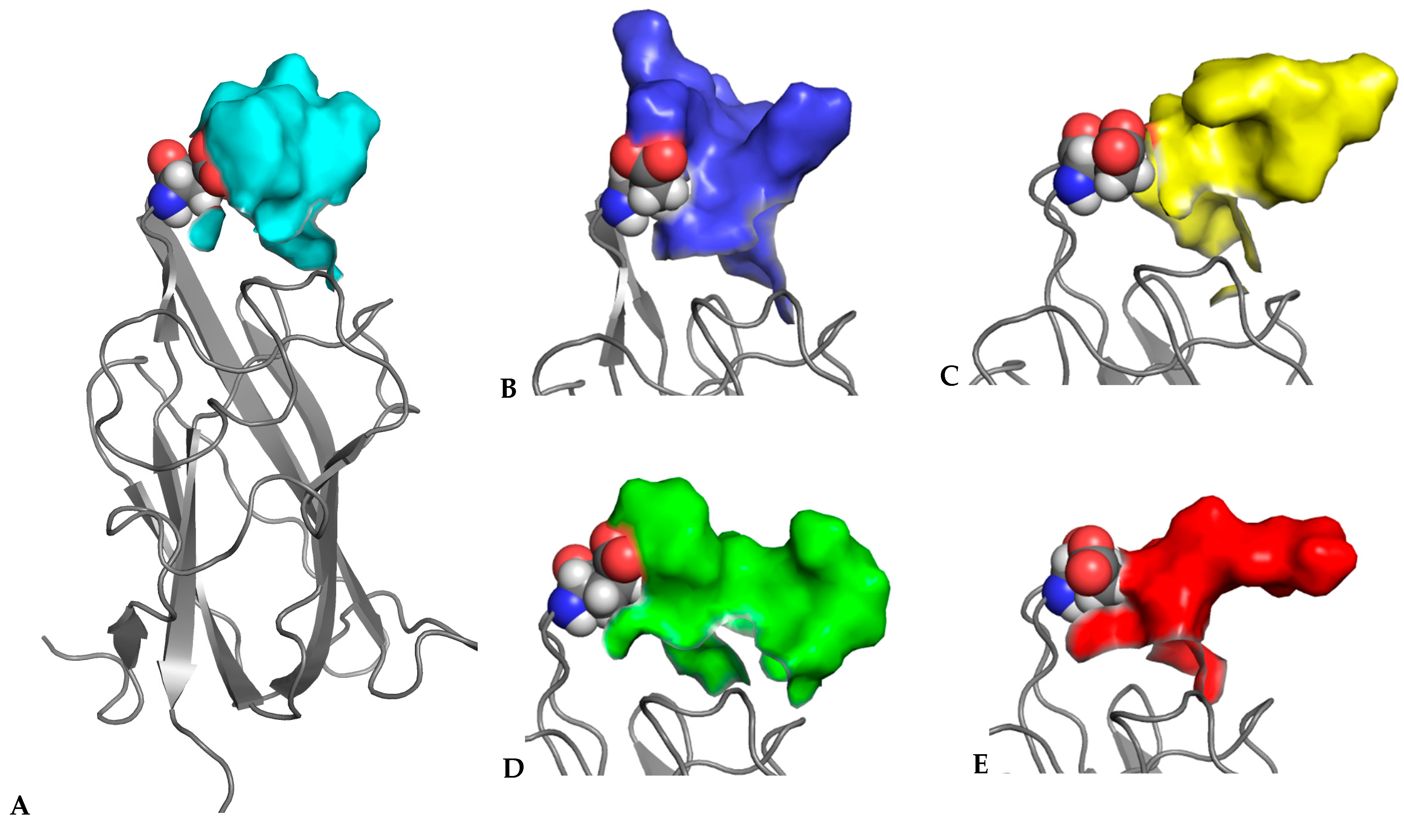Biomolecules 12 00372 g003