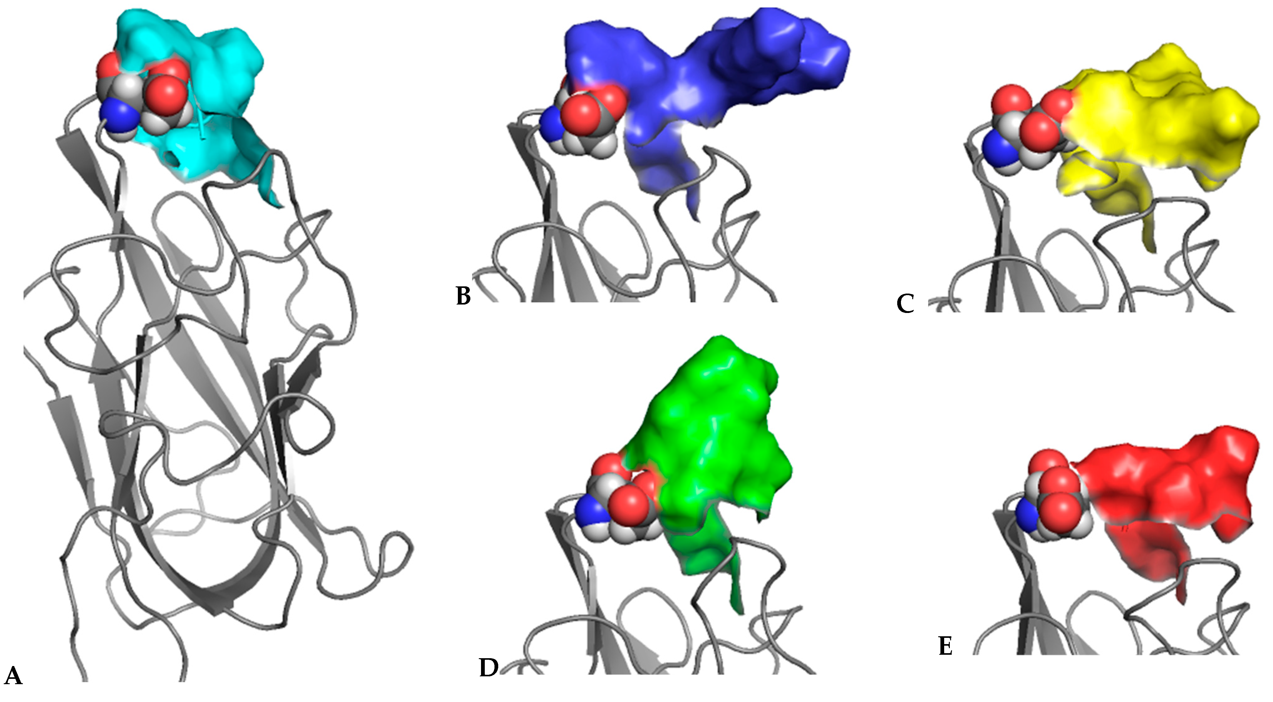 Biomolecules 12 00372 g005