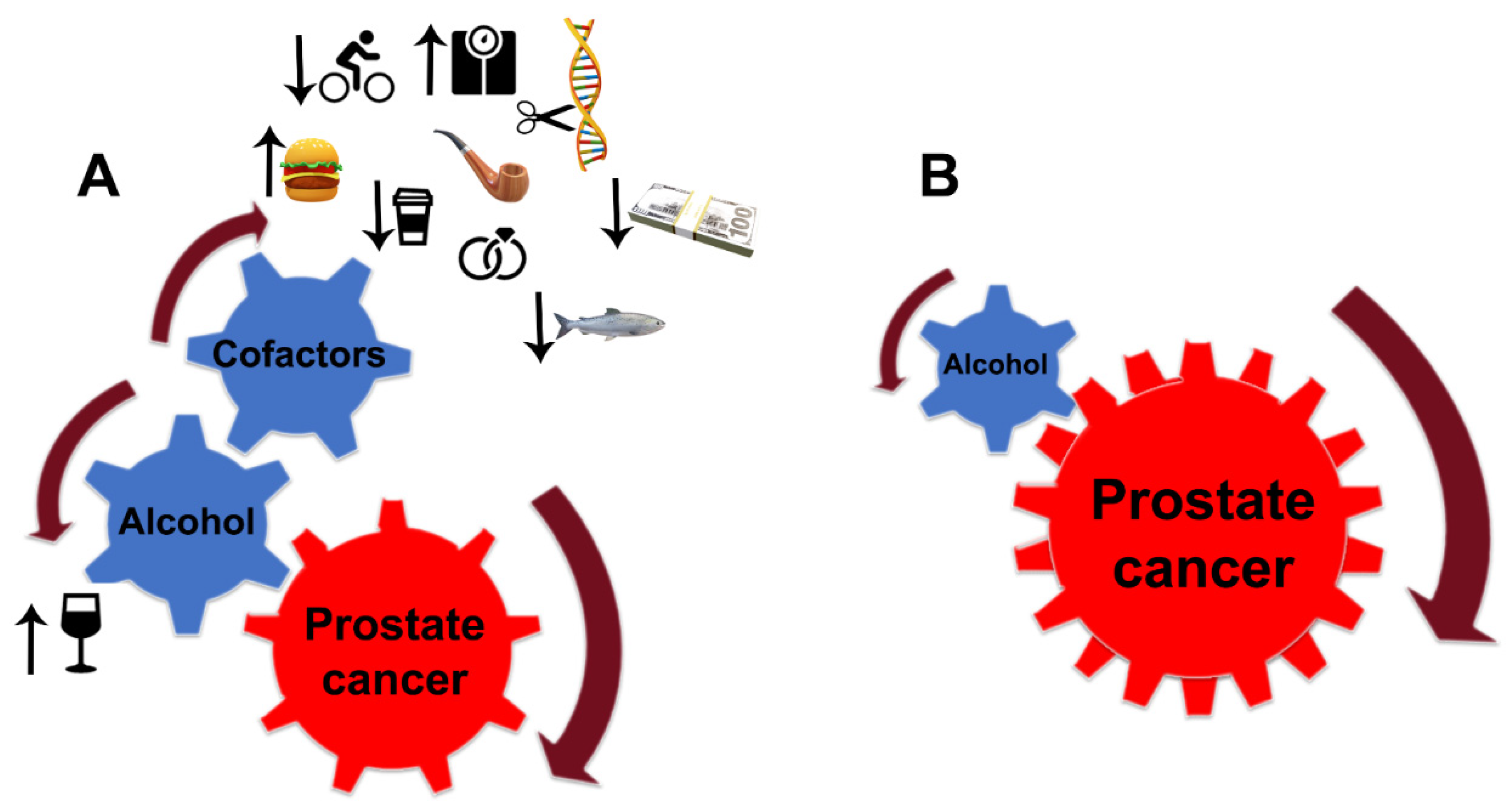Biomolecules 12 00375 g005 Biomolecules 12 00375 g005