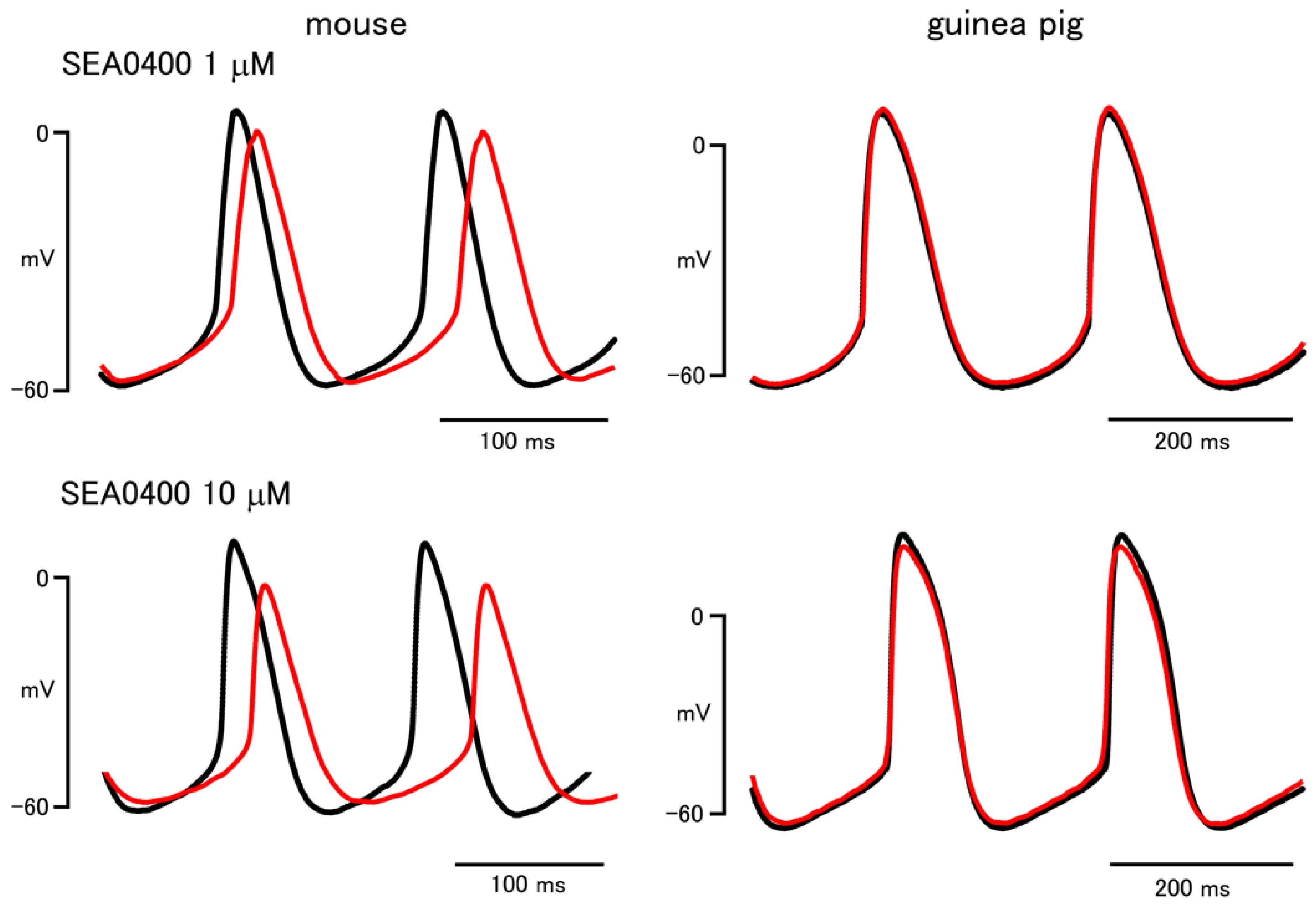 Biomolecules 12 00377 g002 Biomolecules 12 00377 g002