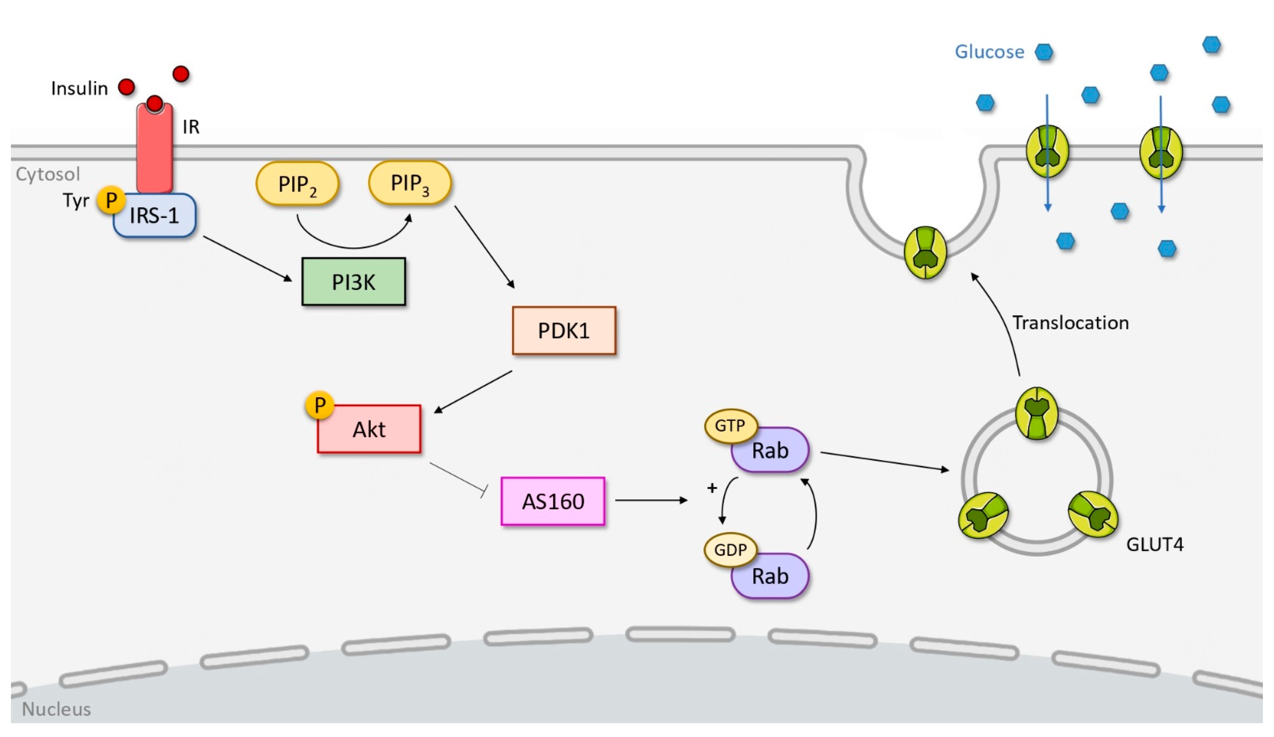 Biomolecules 12 00378 g001