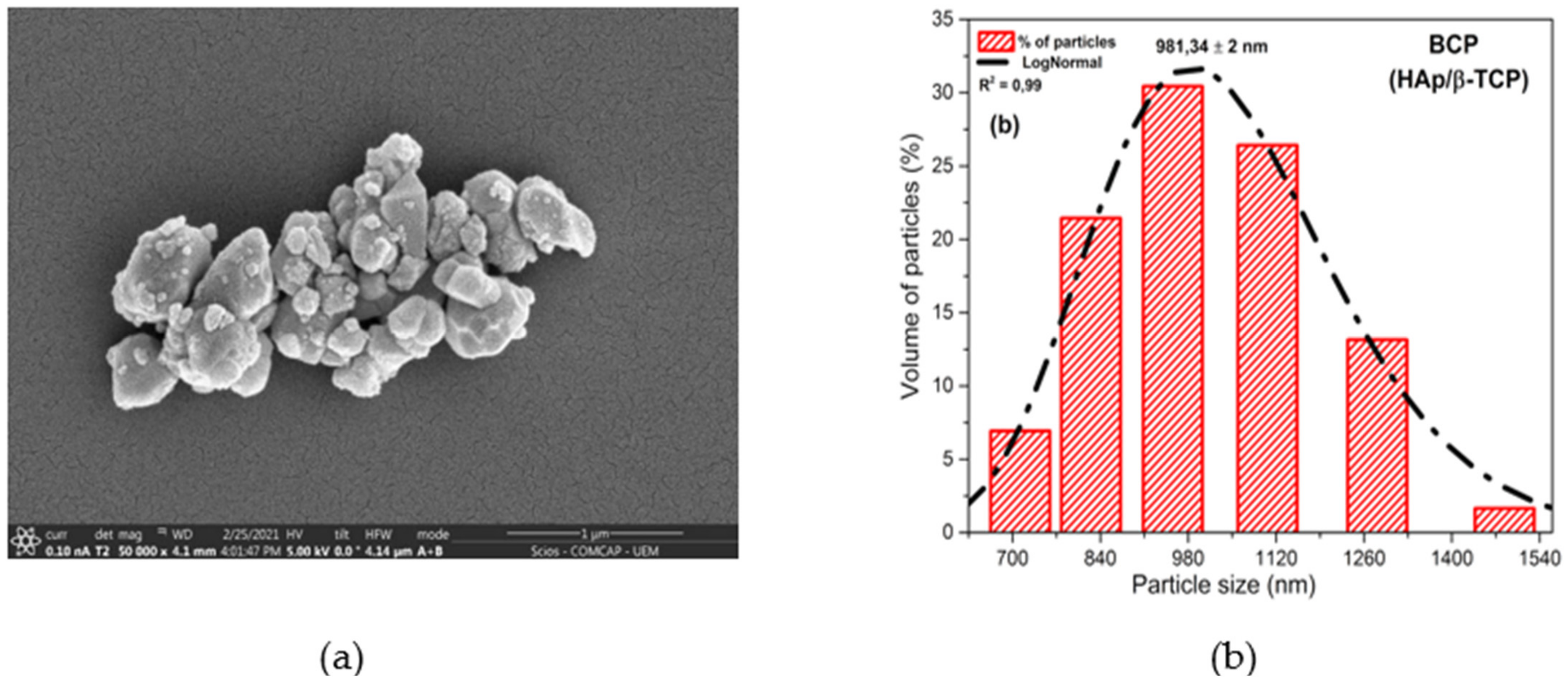 Biomolecules 12 00383 g001