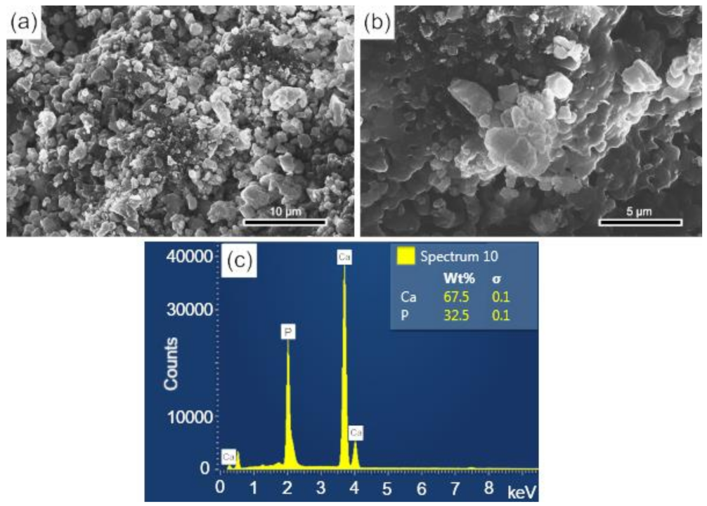 Biomolecules 12 00383 g007