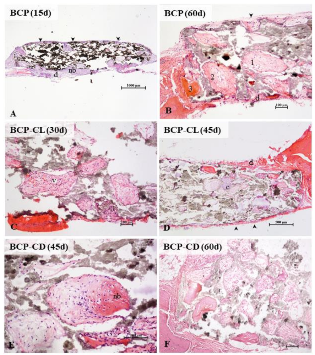 Biomolecules 12 00383 g012