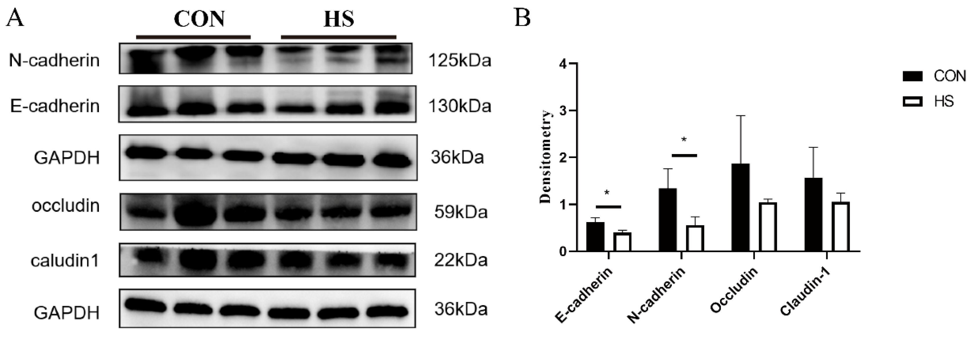 Biomolecules 12 00388 g002