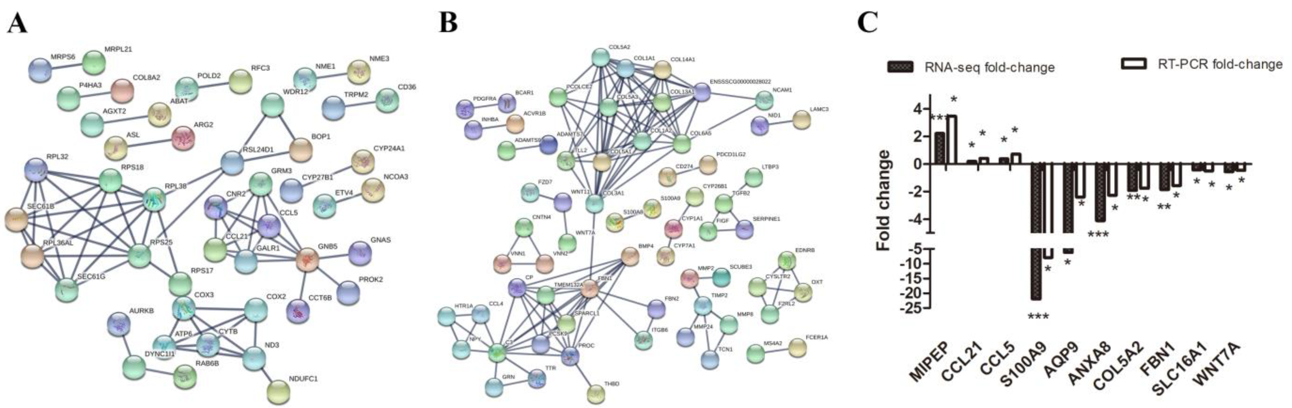 Biomolecules 12 00388 g006