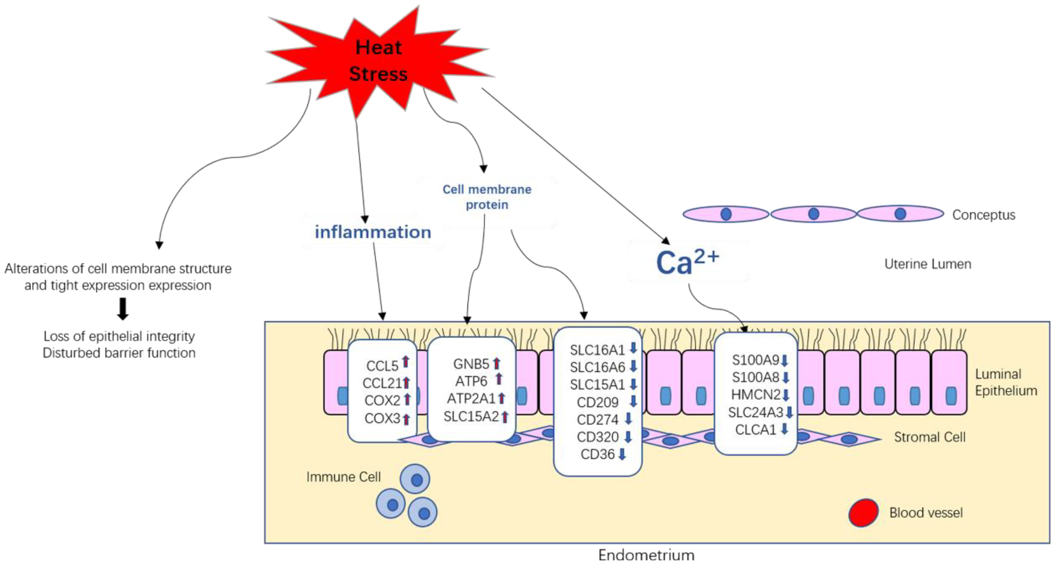 Biomolecules 12 00388 g009
