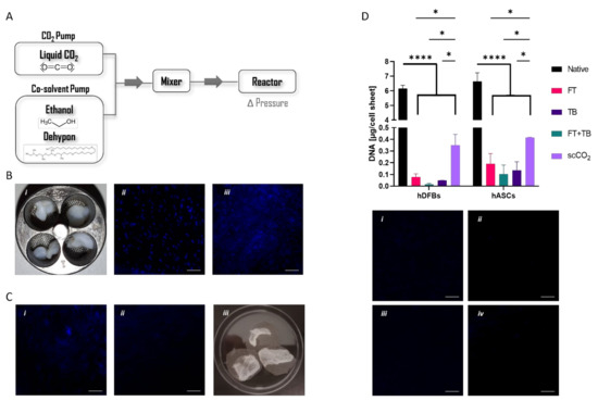 Biomolecules 12 00394 g001