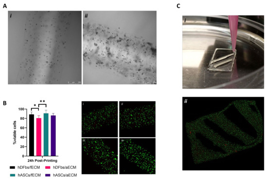 Biomolecules 12 00394 g004