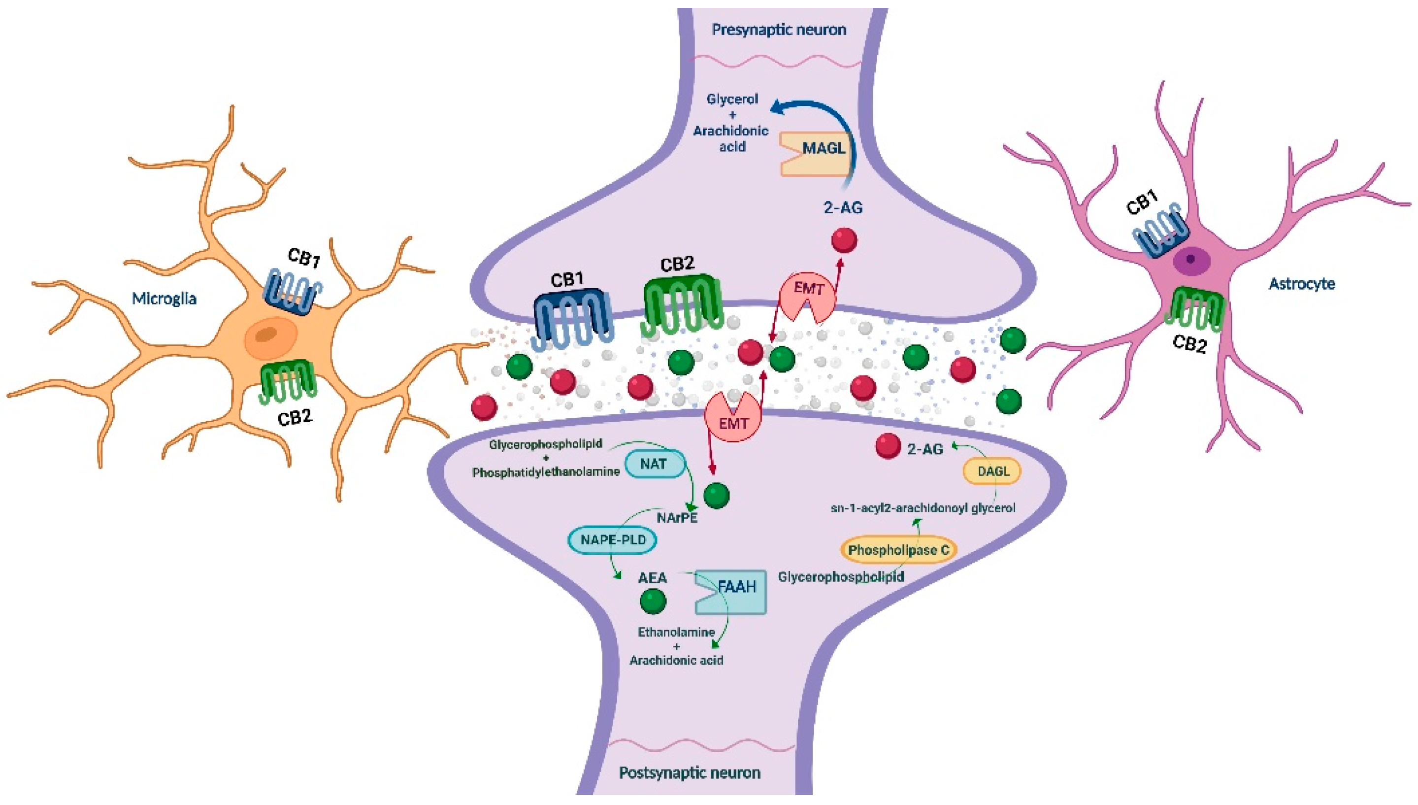 Biomolecules 12 00396 g001