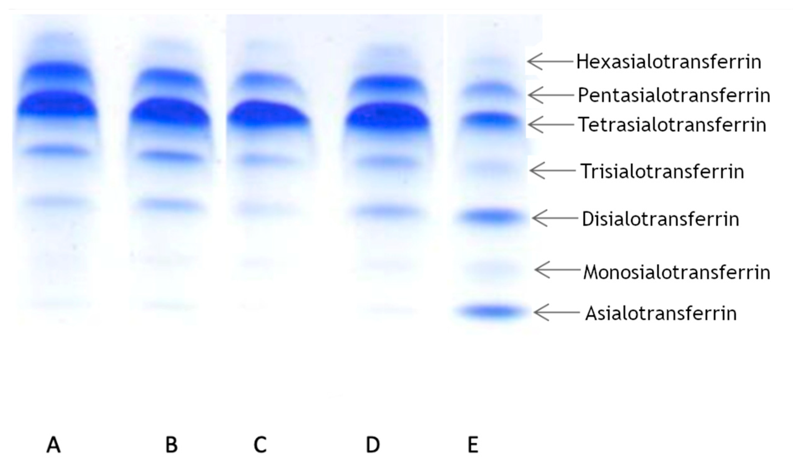 Biomolecules 12 00398 g002