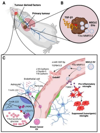 Biomolecules 12 00401 g002