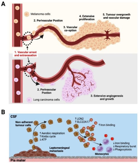 Biomolecules 12 00401 g003