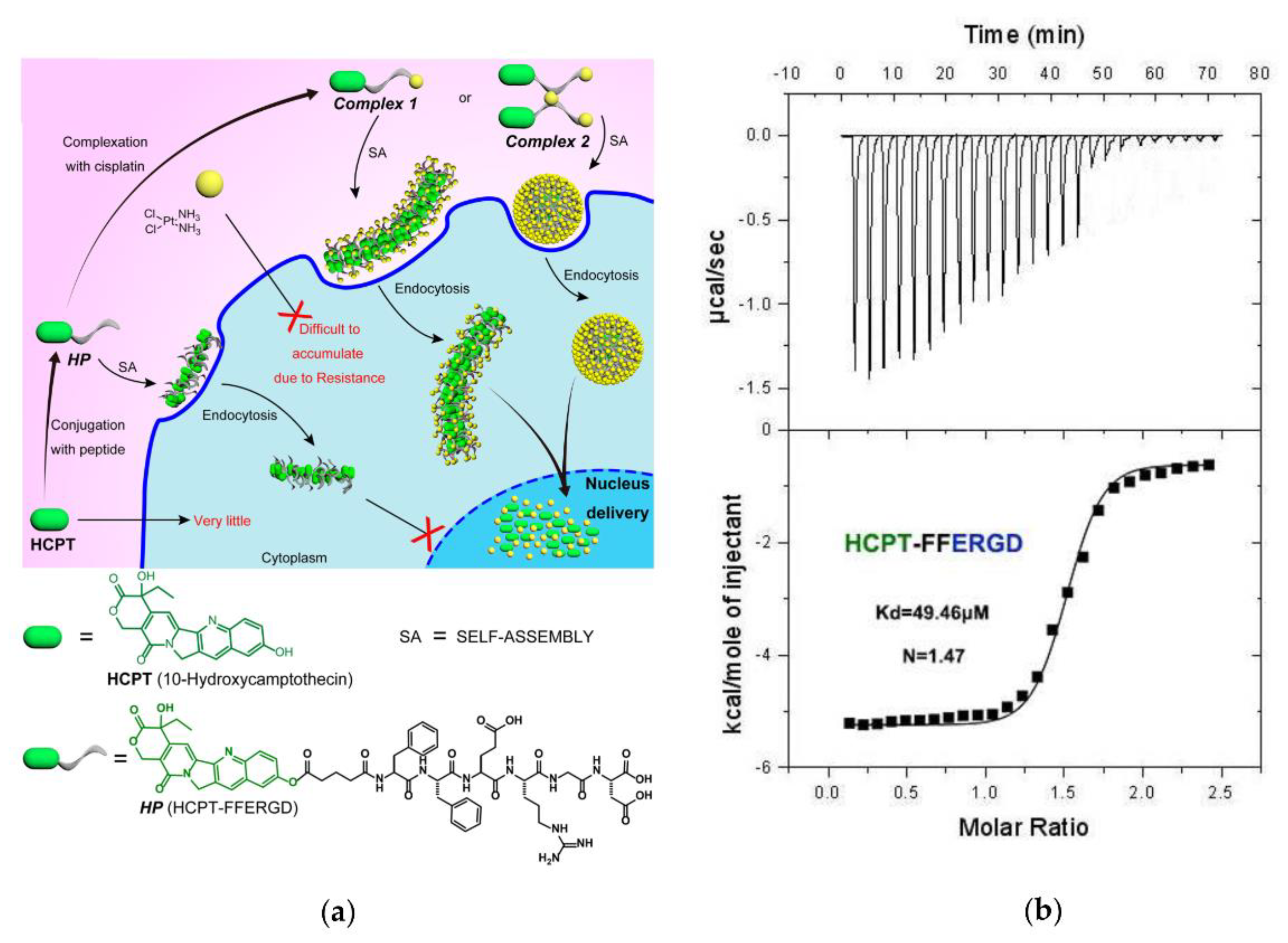 Biomolecules 12 00408 g001 Biomolecules 12 00408 g001