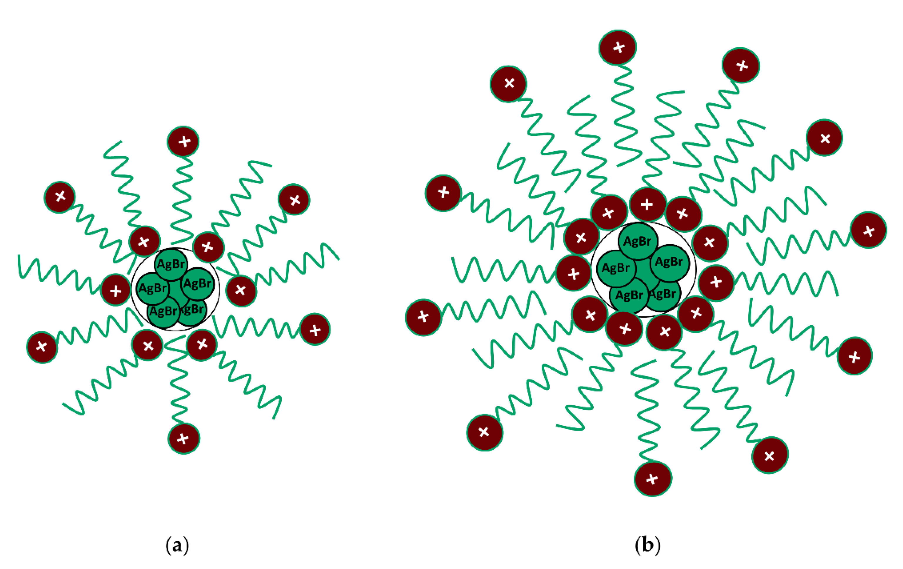 Biomolecules 12 00408 g003 Biomolecules 12 00408 g003