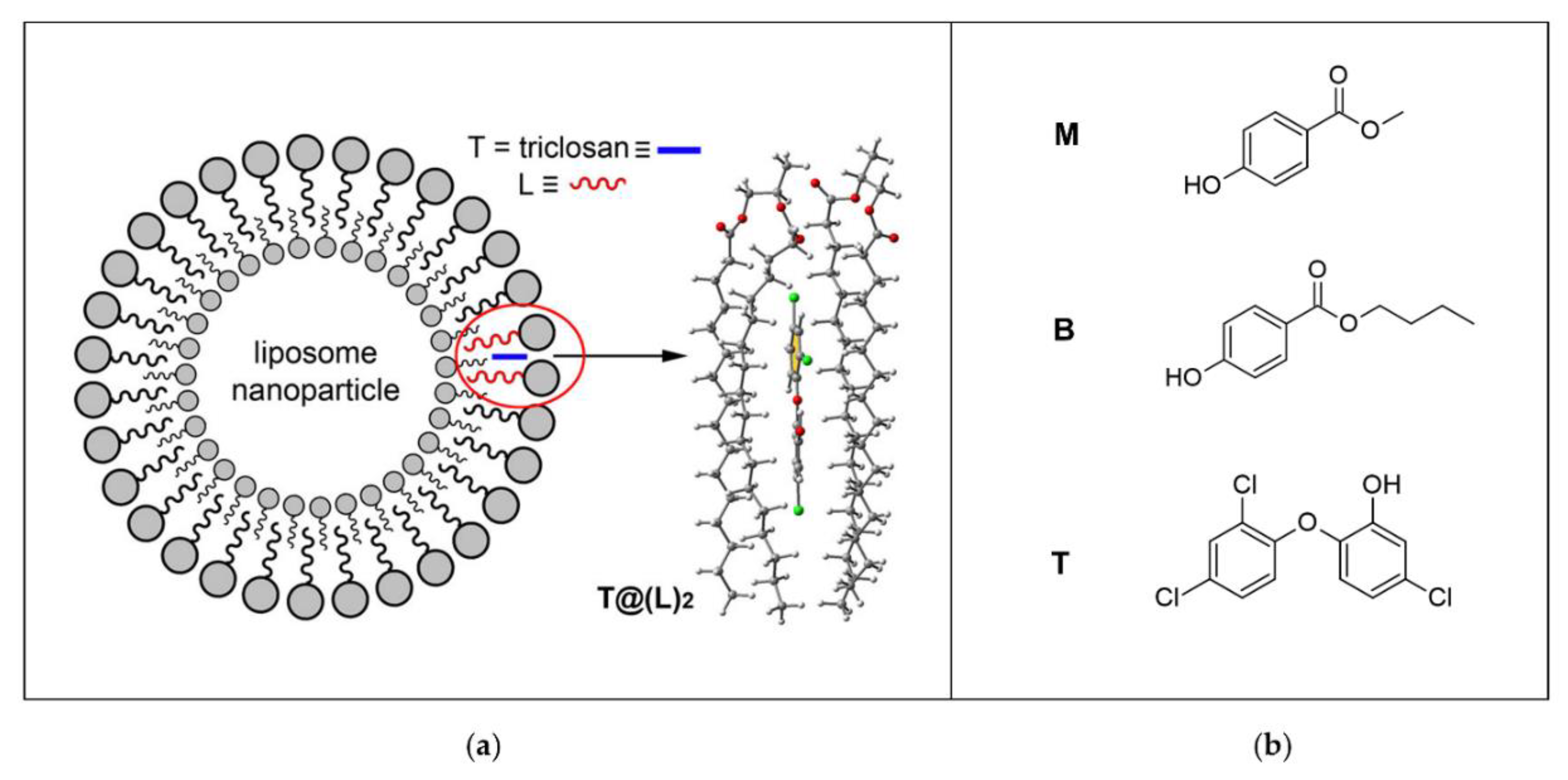 Biomolecules 12 00408 g010 Biomolecules 12 00408 g010