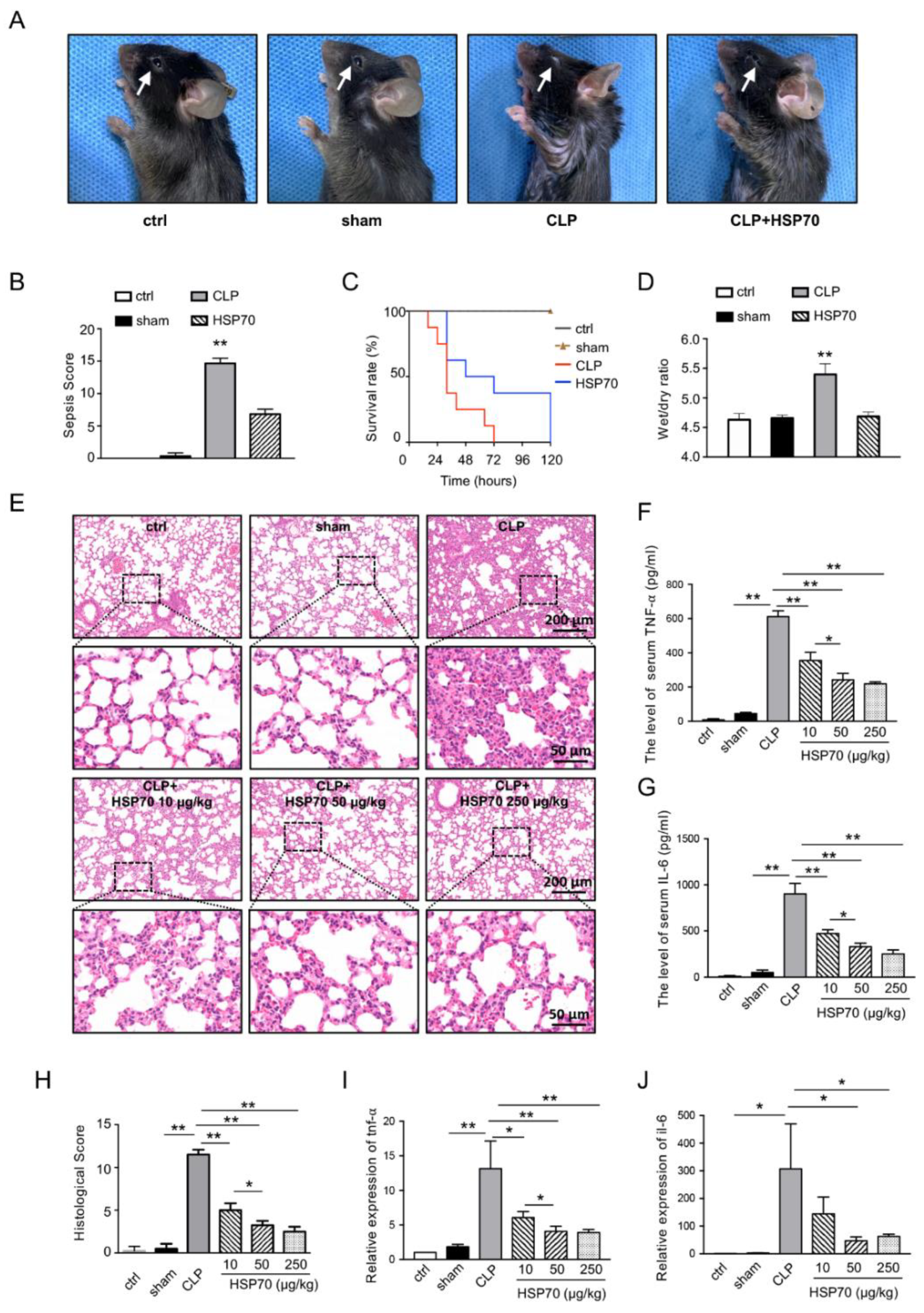 Biomolecules 12 00410 g001