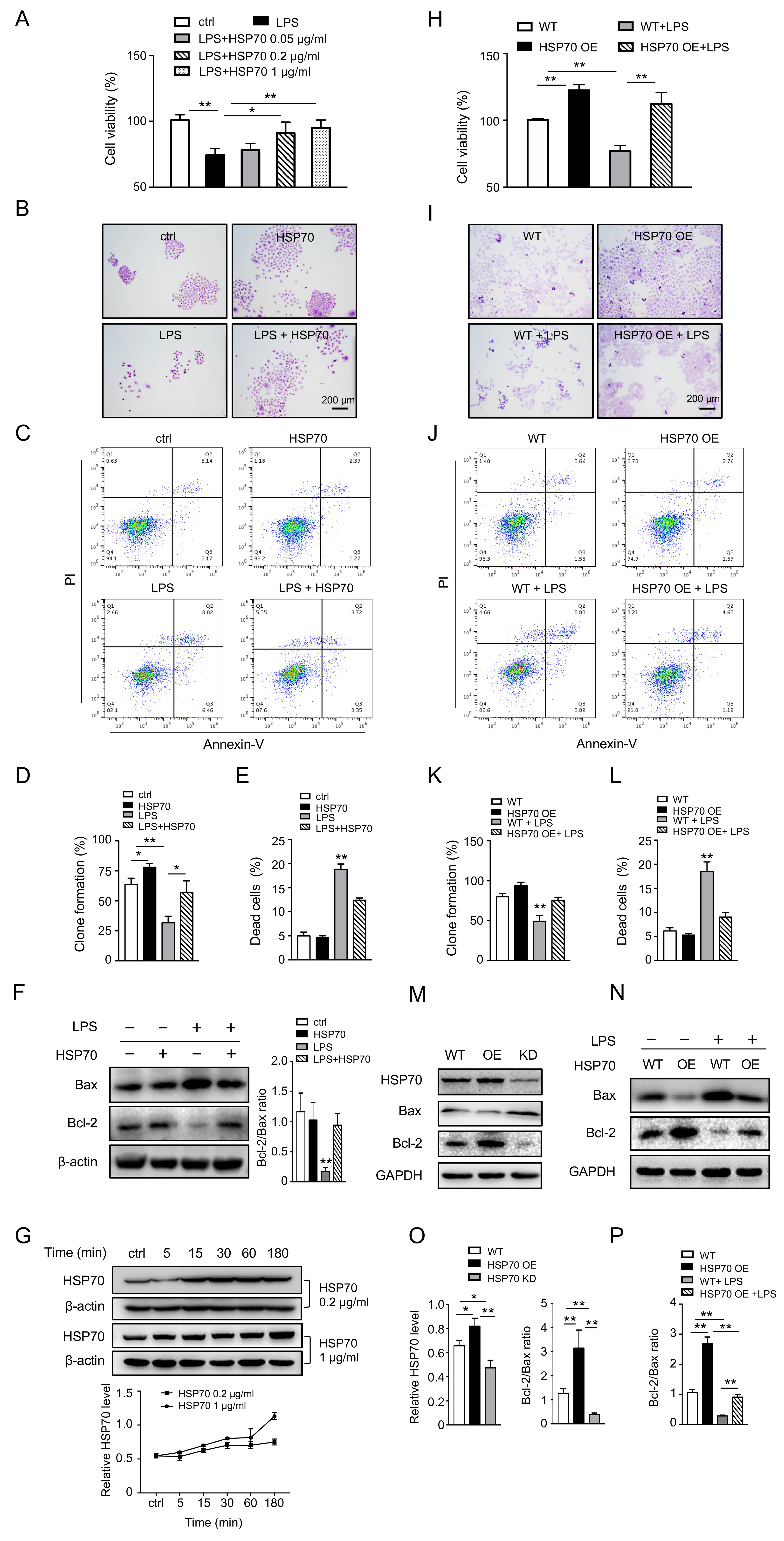 Biomolecules 12 00410 g003
