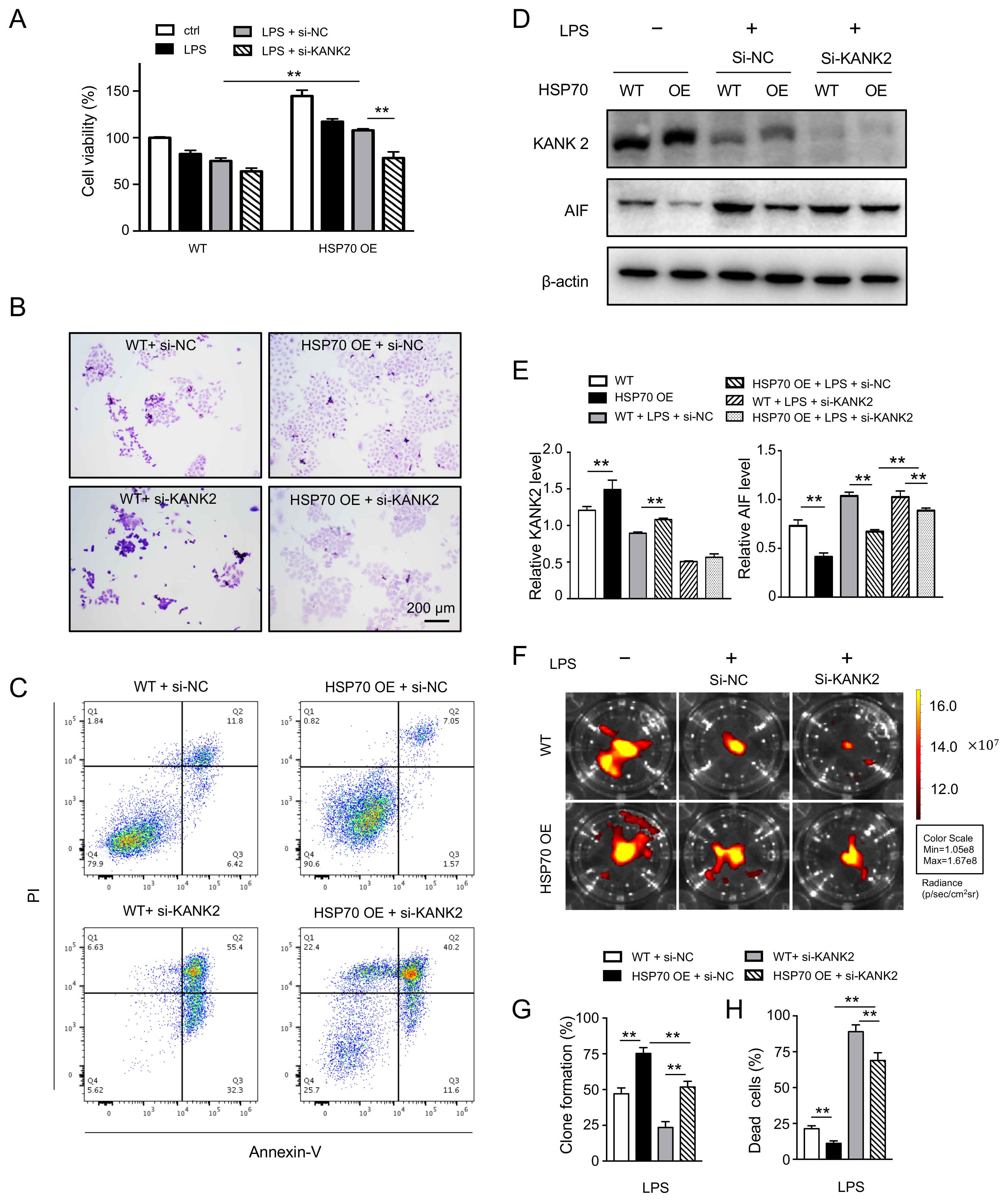 Biomolecules 12 00410 g005