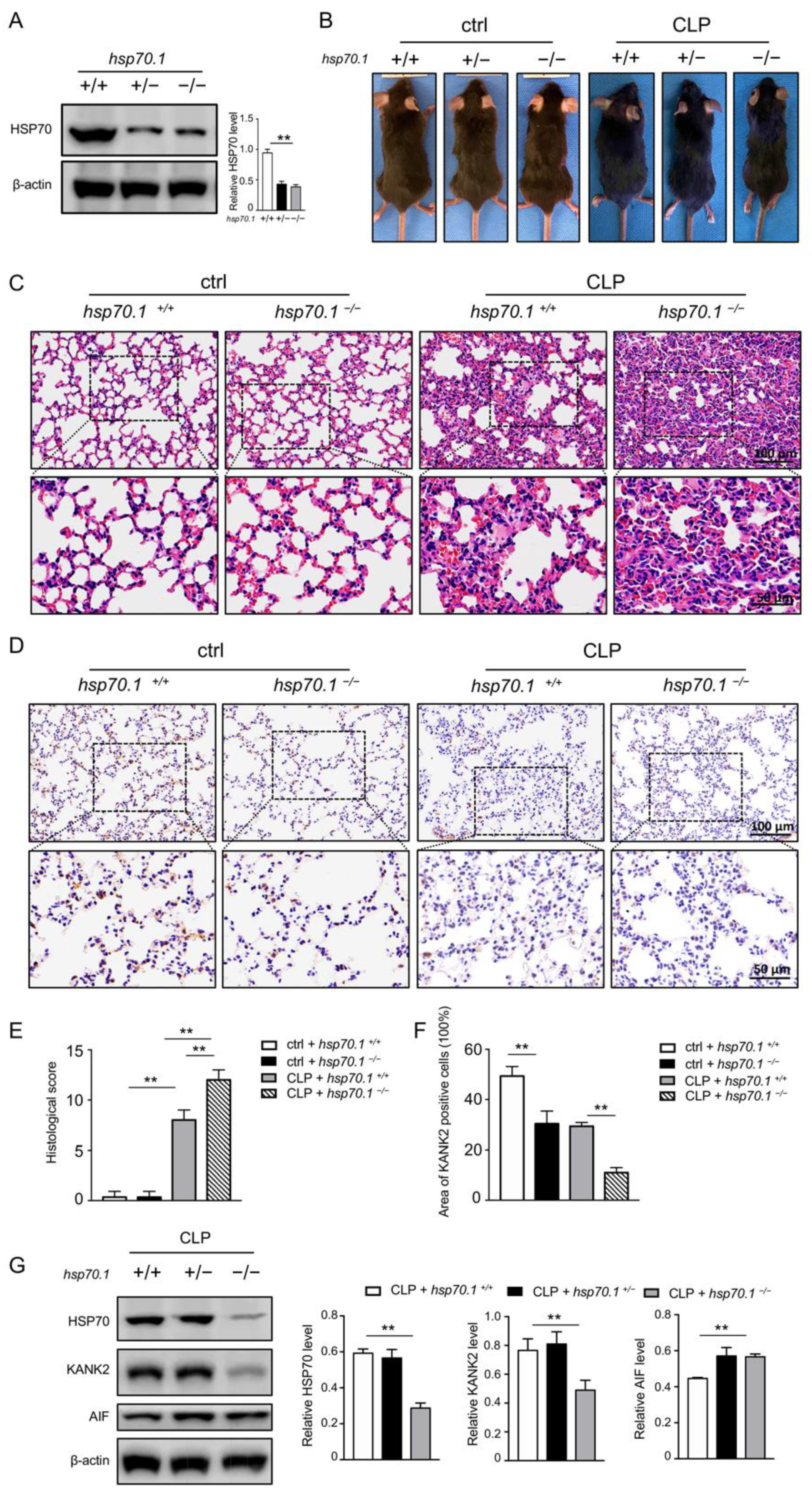 Biomolecules 12 00410 g006