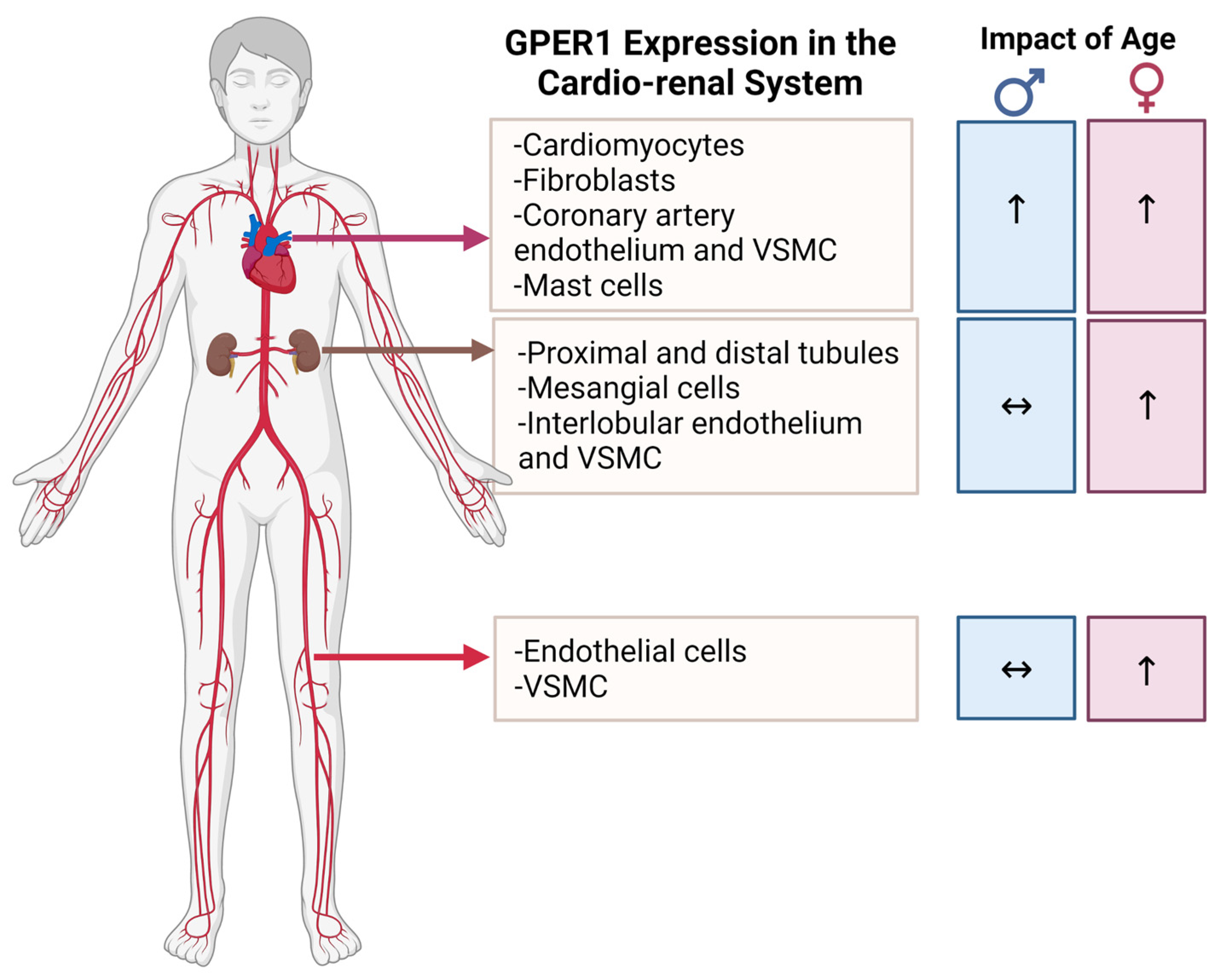Biomolecules 12 00412 g001