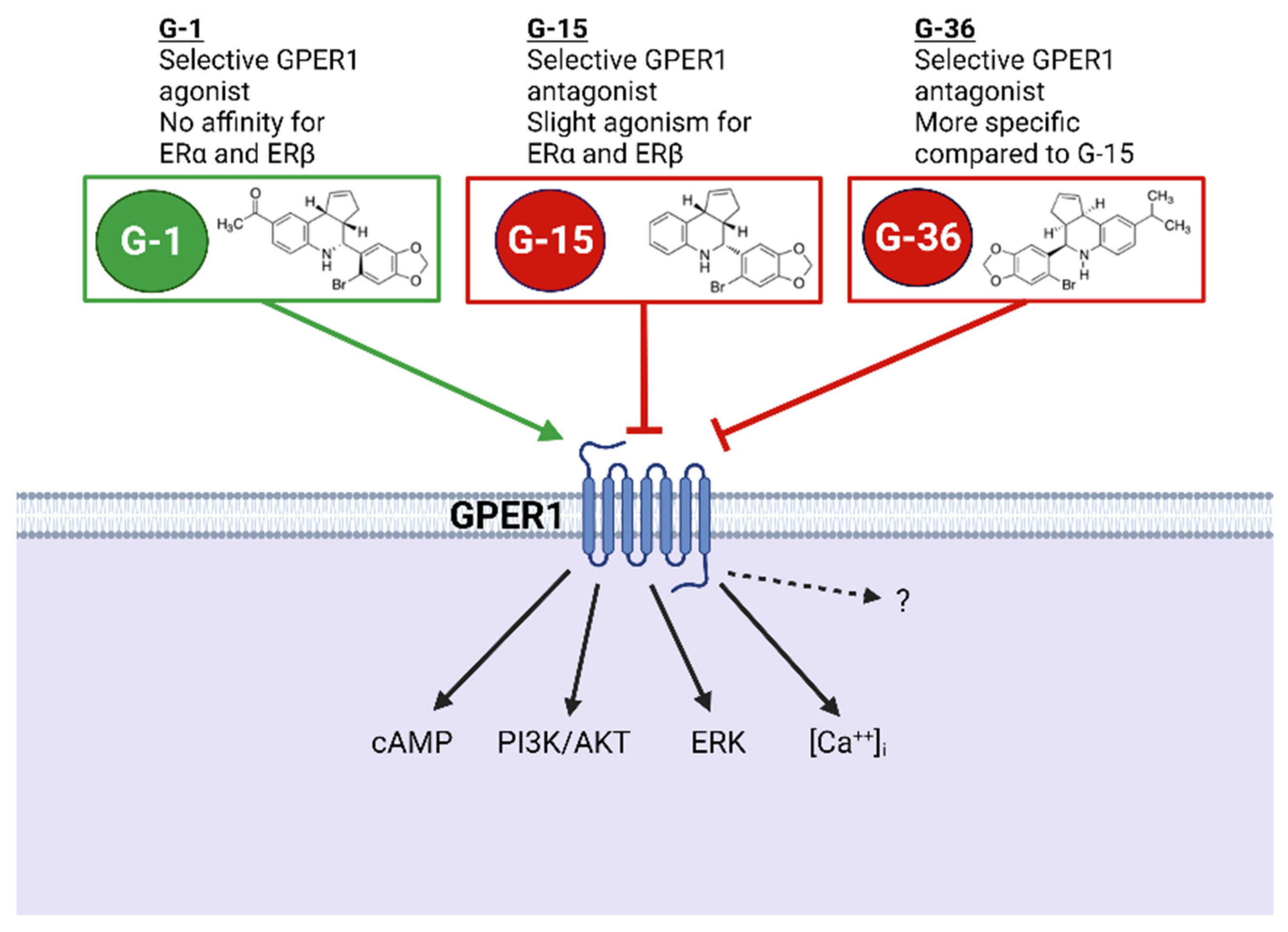 Biomolecules 12 00412 g002