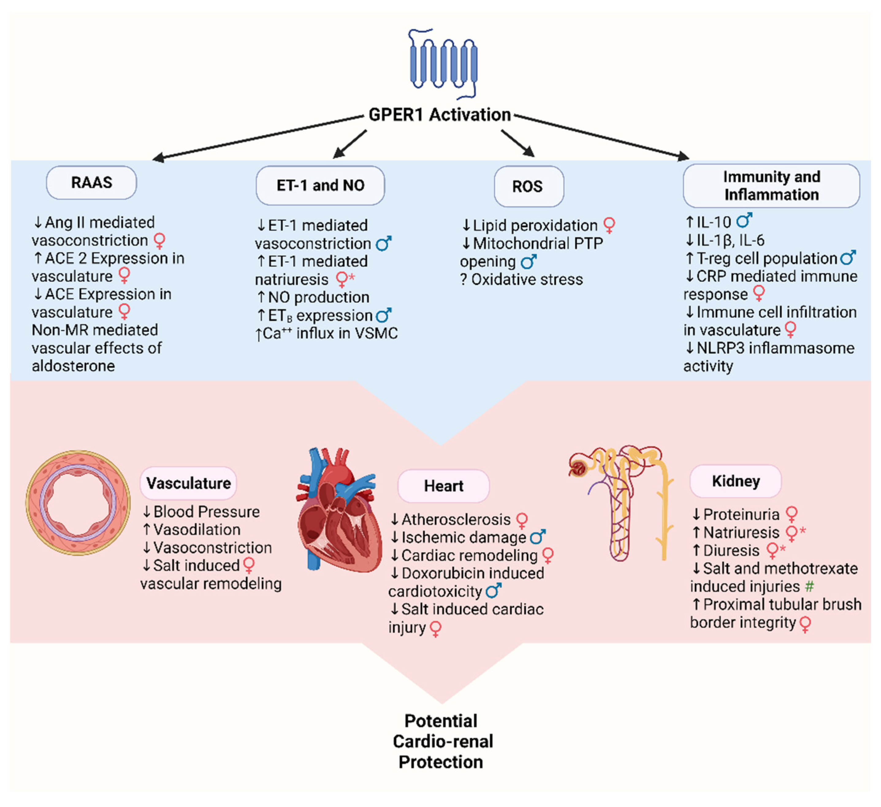 Biomolecules 12 00412 g003