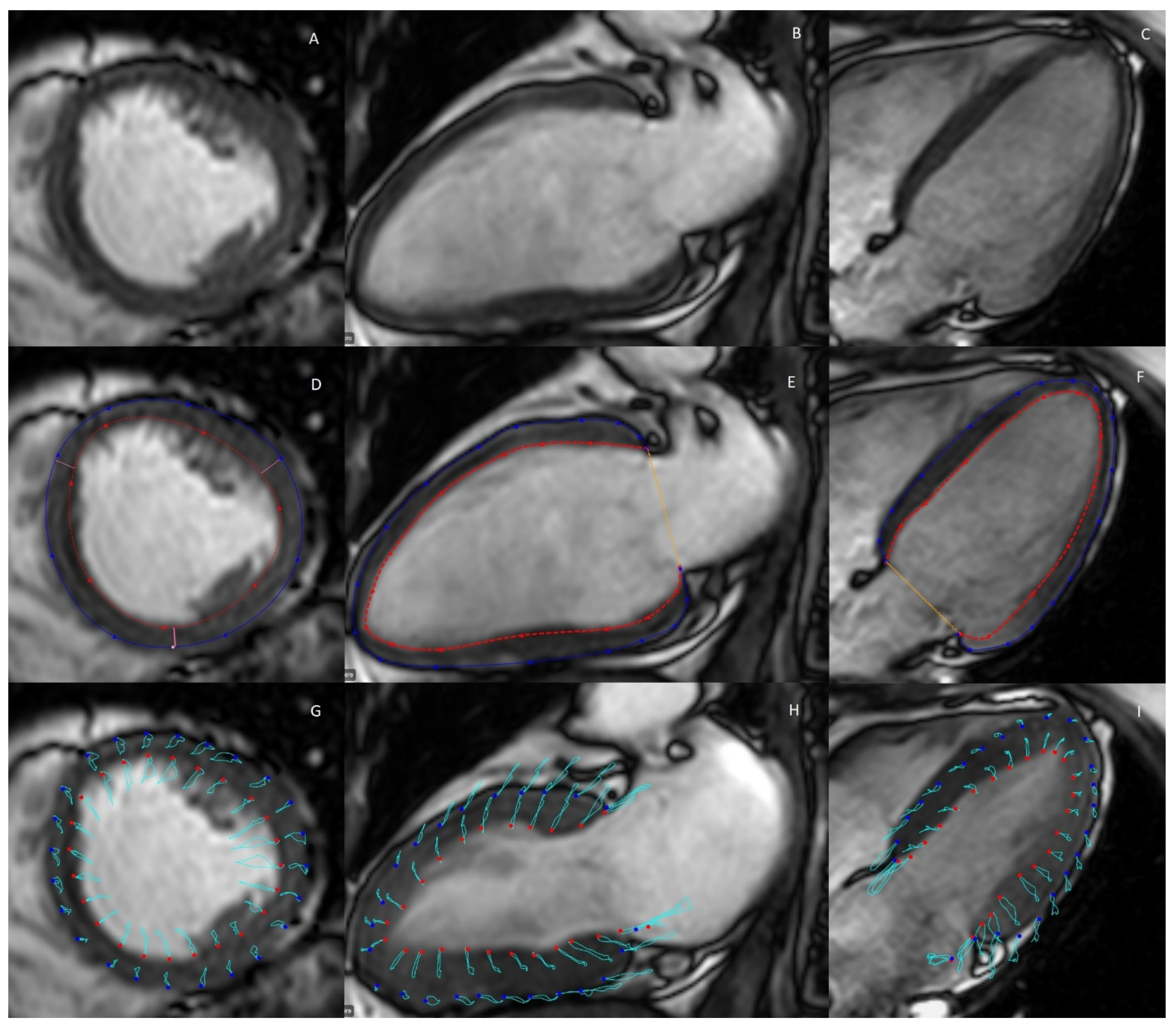 Biomolecules 12 00415 g004