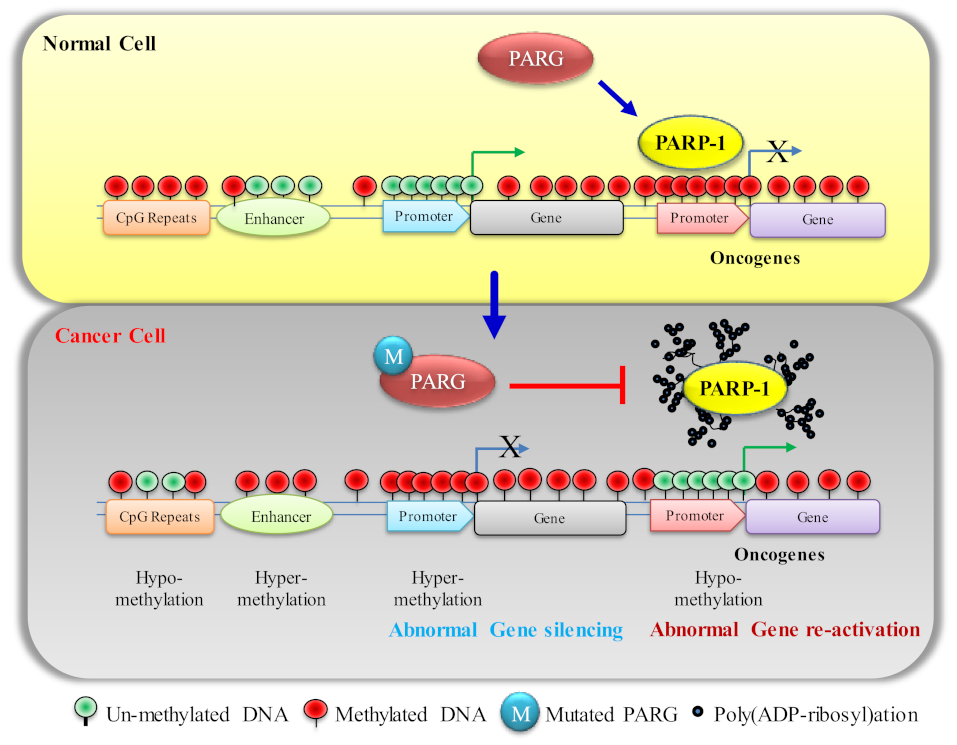Biomolecules 12 00417 g001 Biomolecules 12 00417 g001
