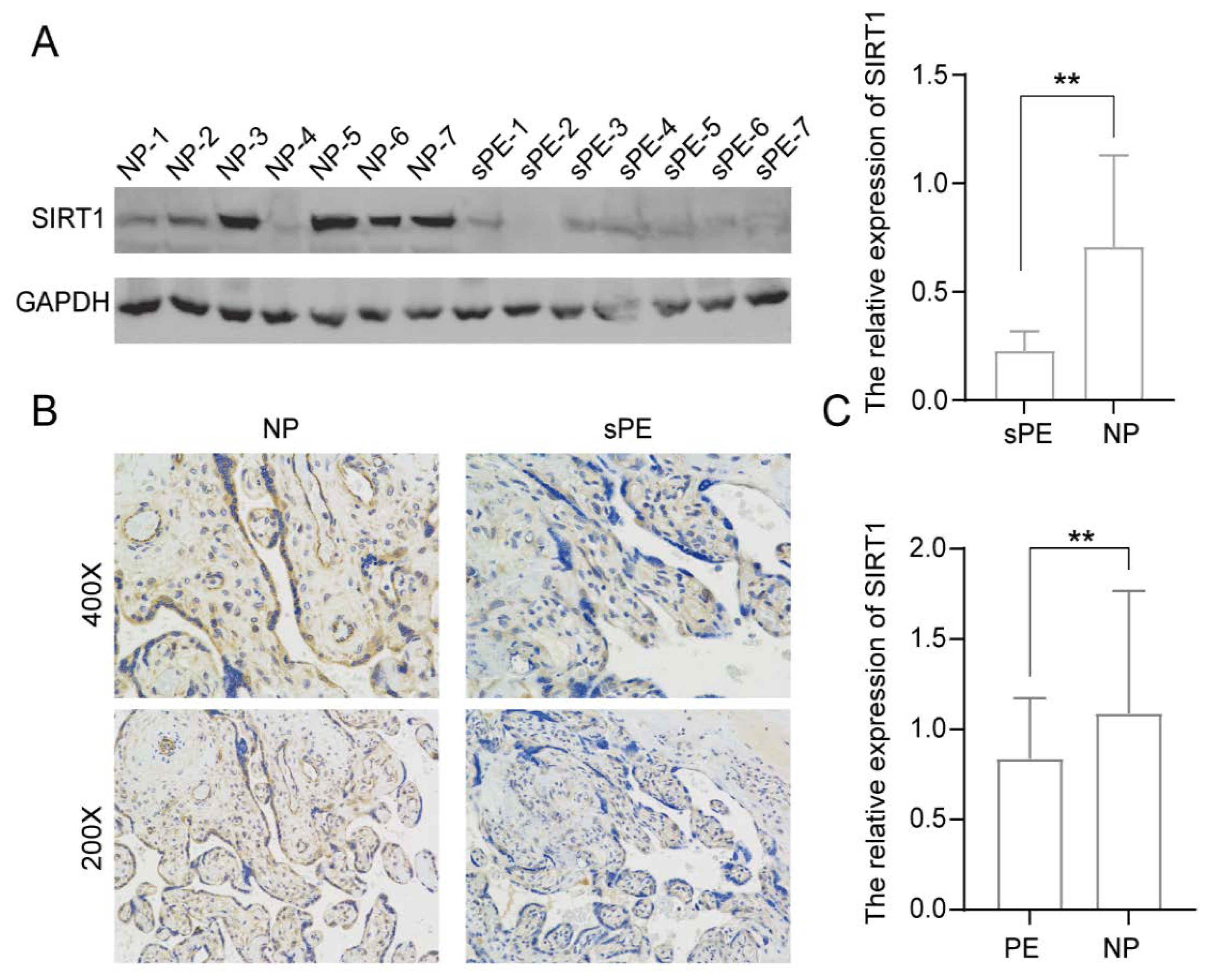 Biomolecules 12 00422 g001