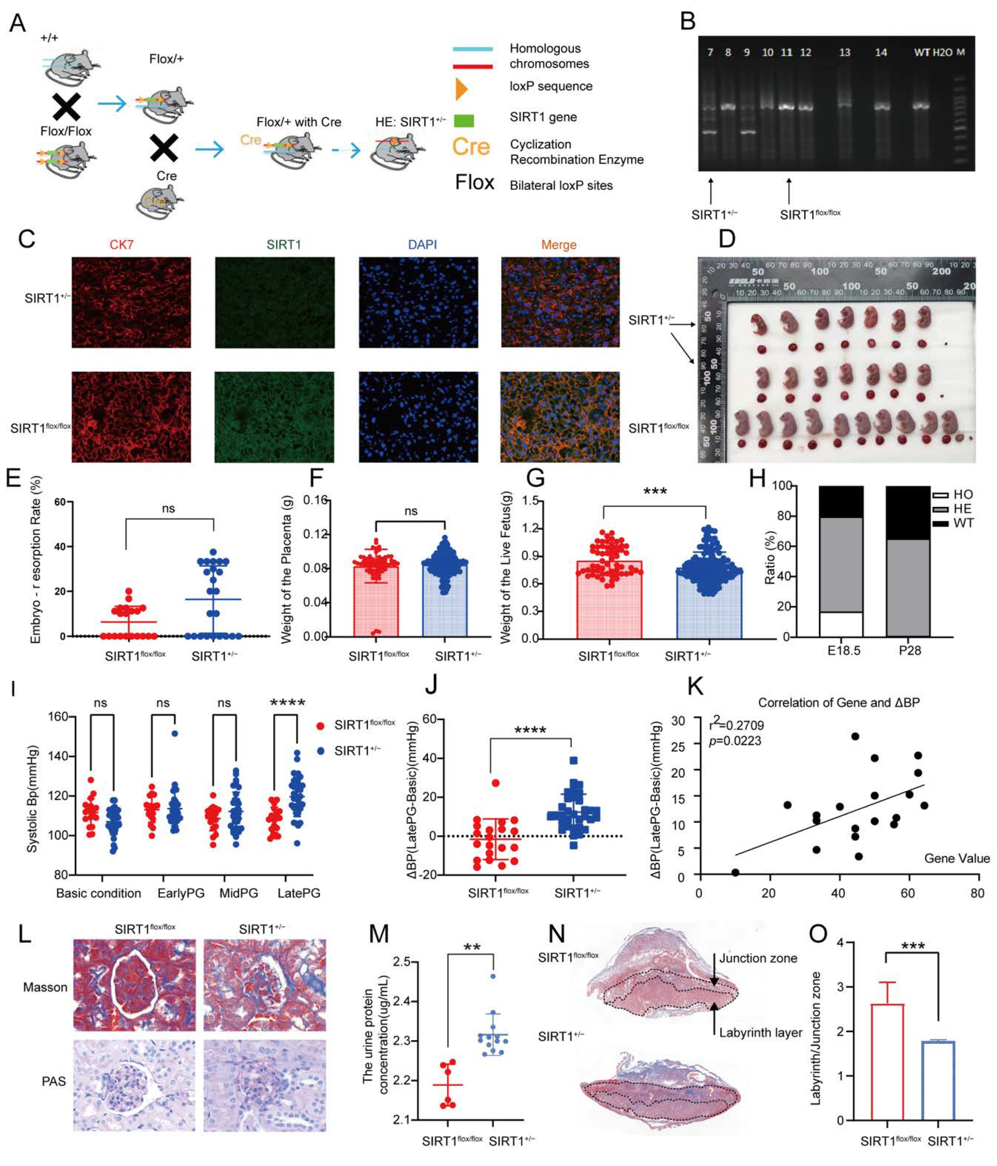 Biomolecules 12 00422 g002
