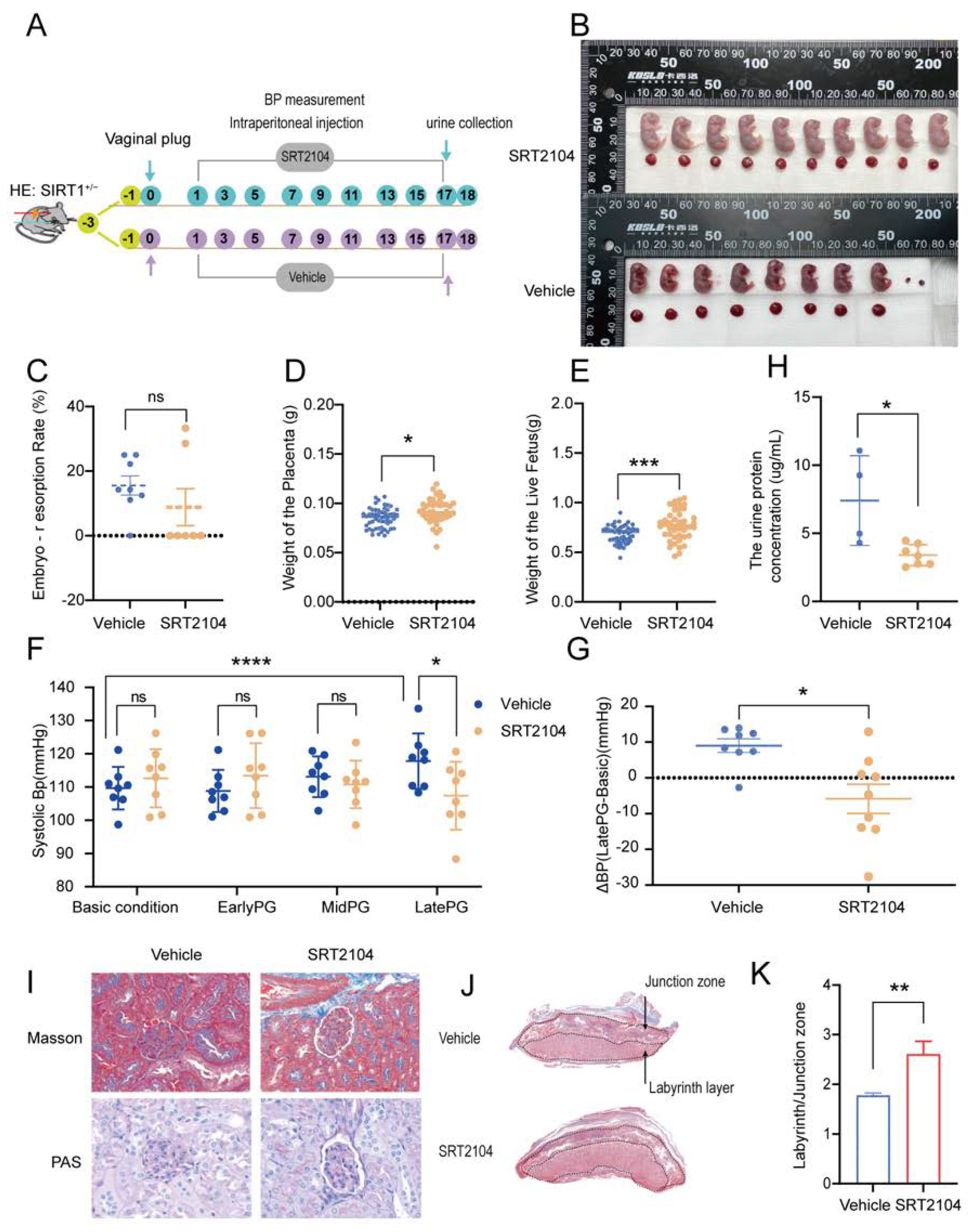 Biomolecules 12 00422 g003