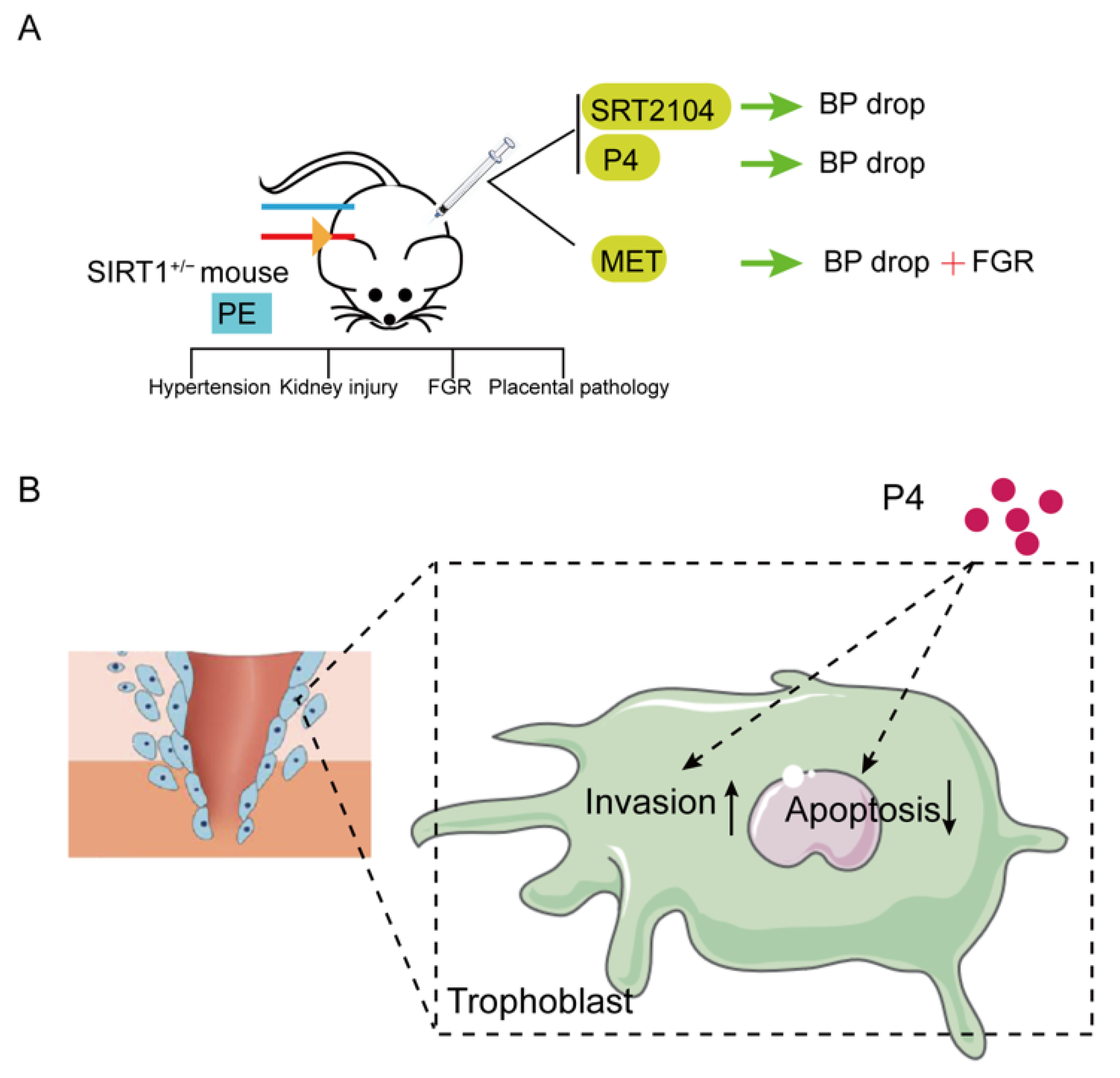Biomolecules 12 00422 g005