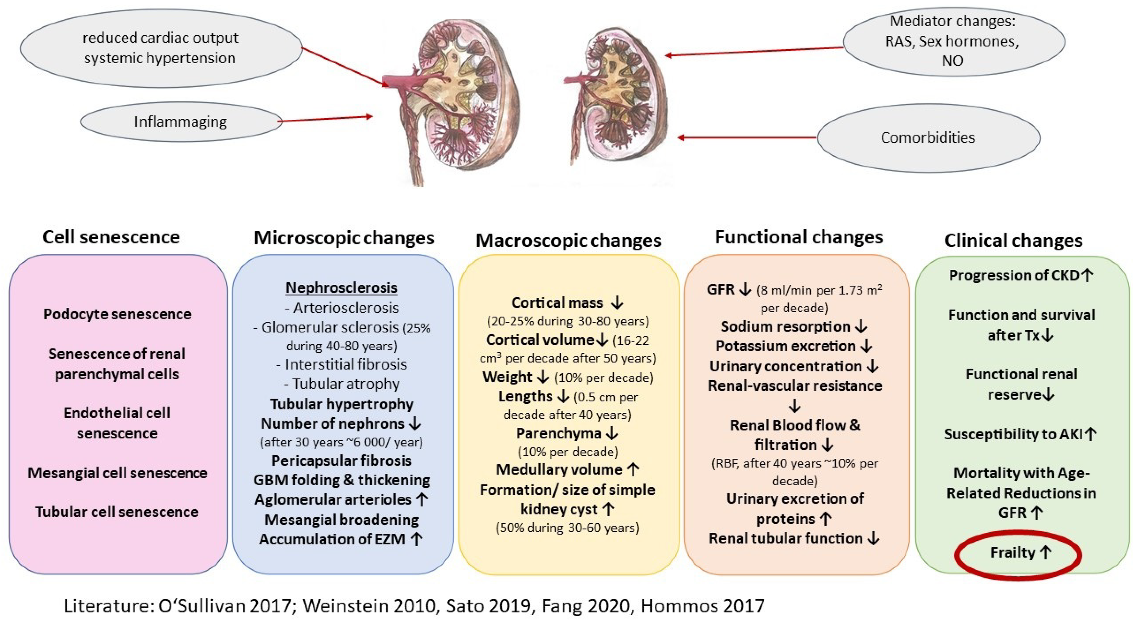 Biomolecules 12 00423 g001
