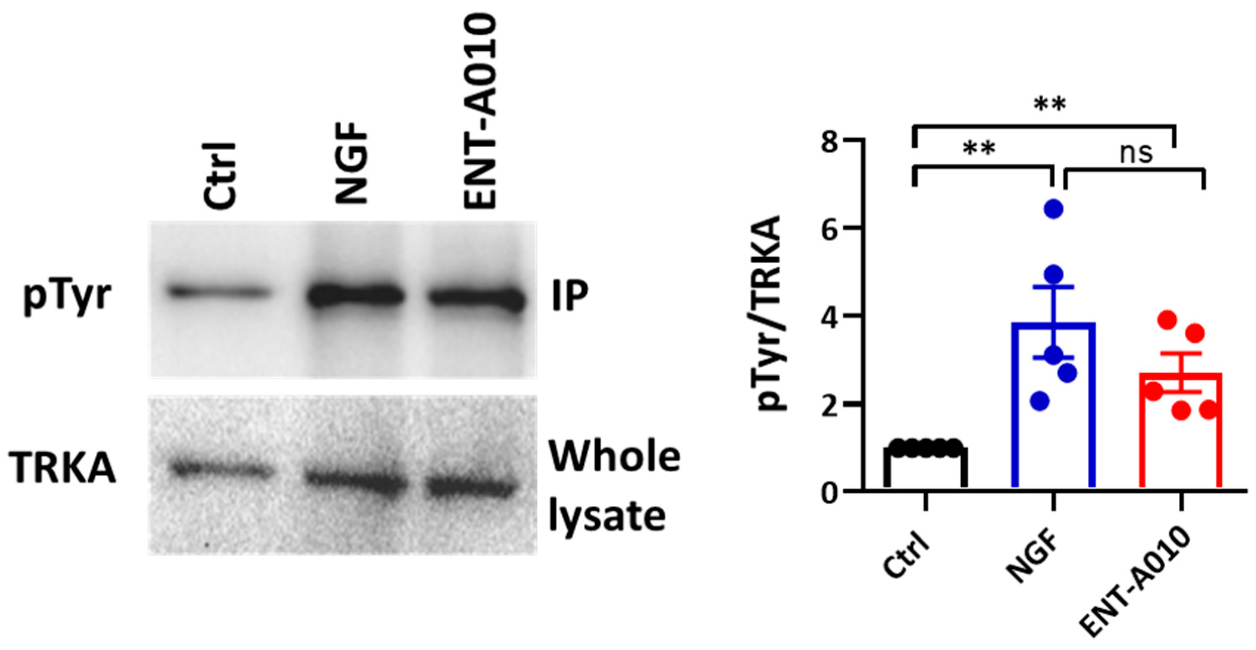Biomolecules 12 00424 g002