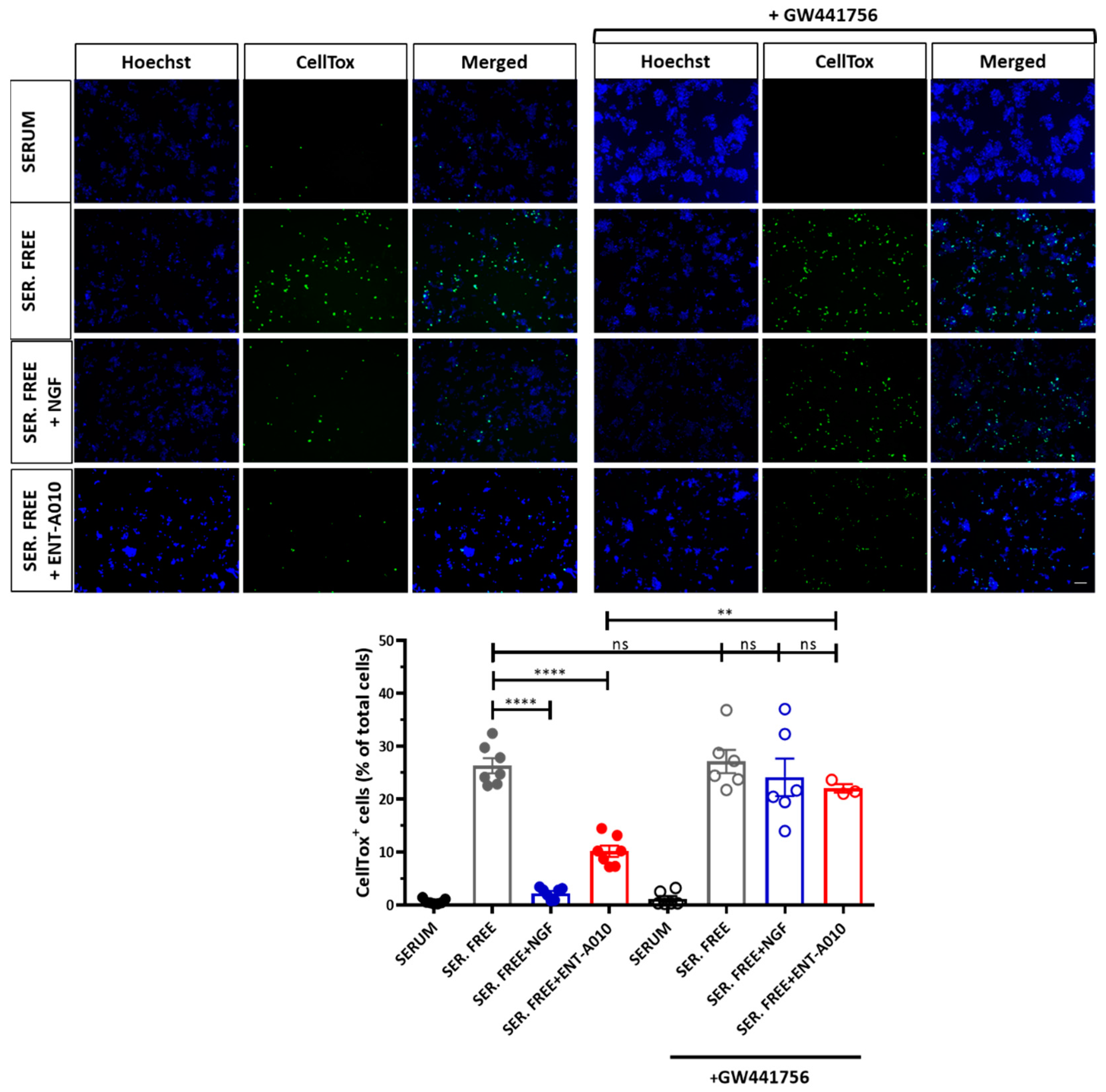 Biomolecules 12 00424 g003