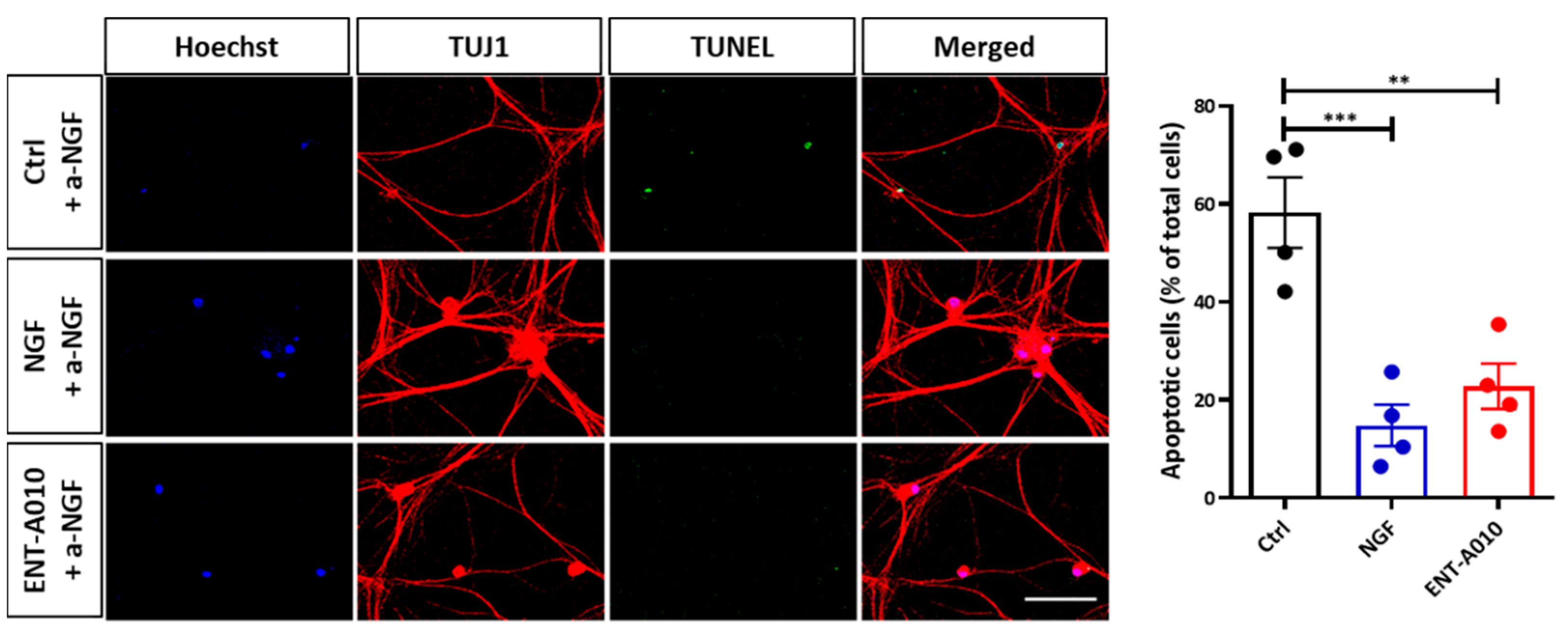 Biomolecules 12 00424 g004