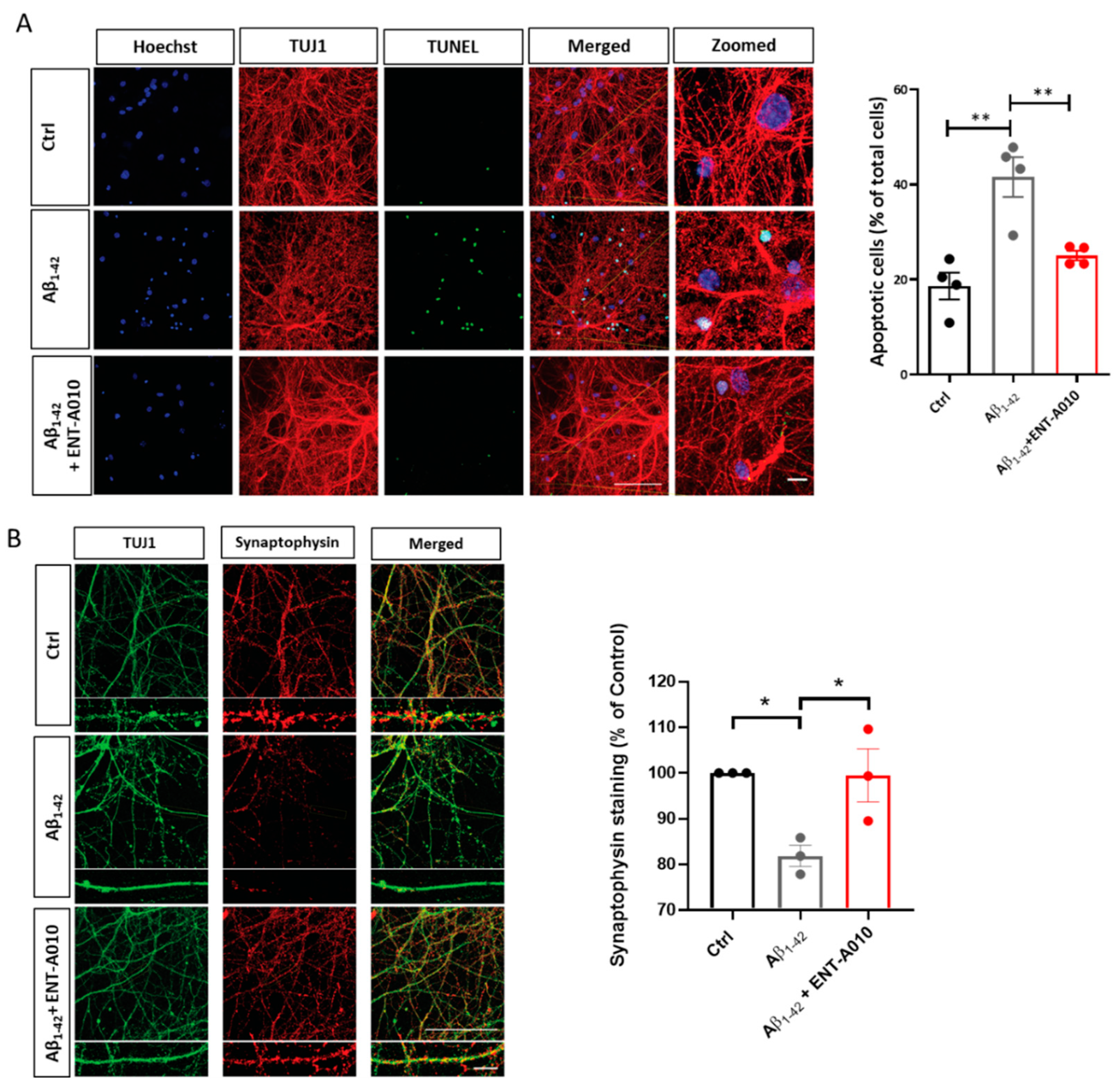Biomolecules 12 00424 g005