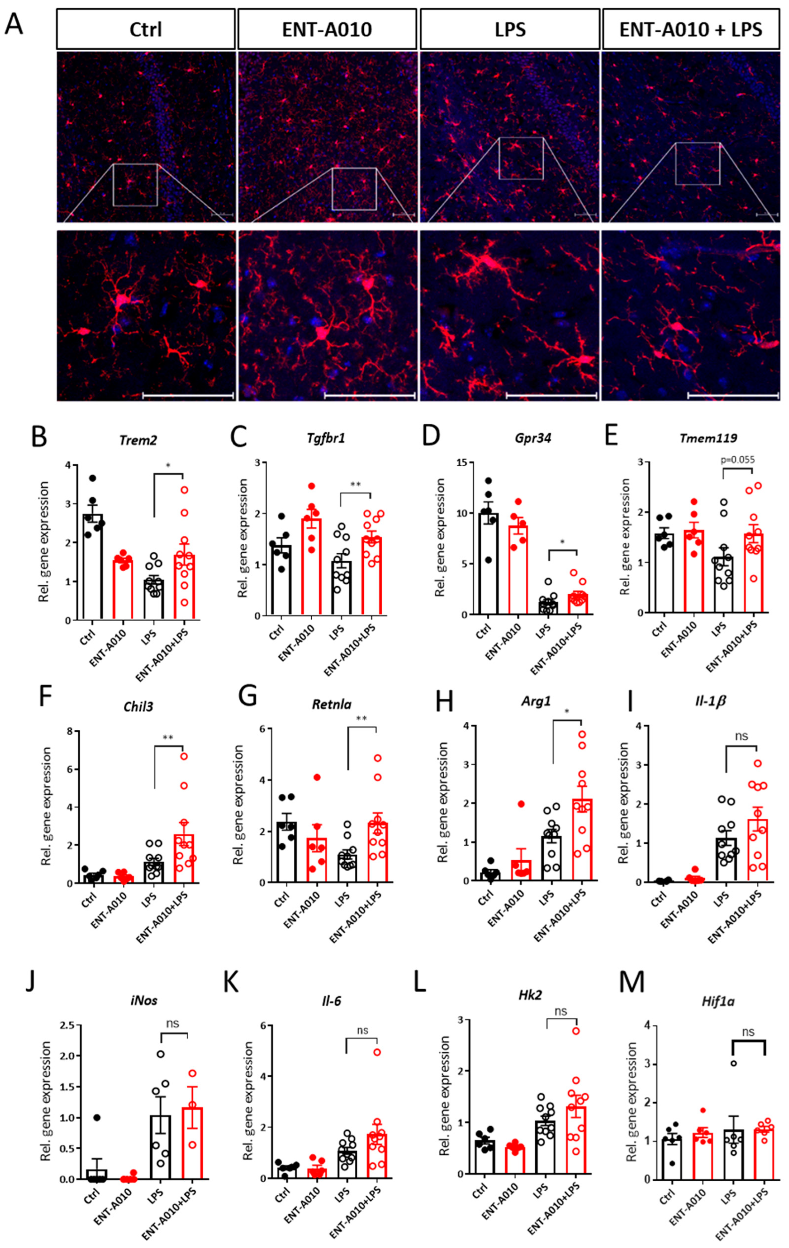 Biomolecules 12 00424 g009