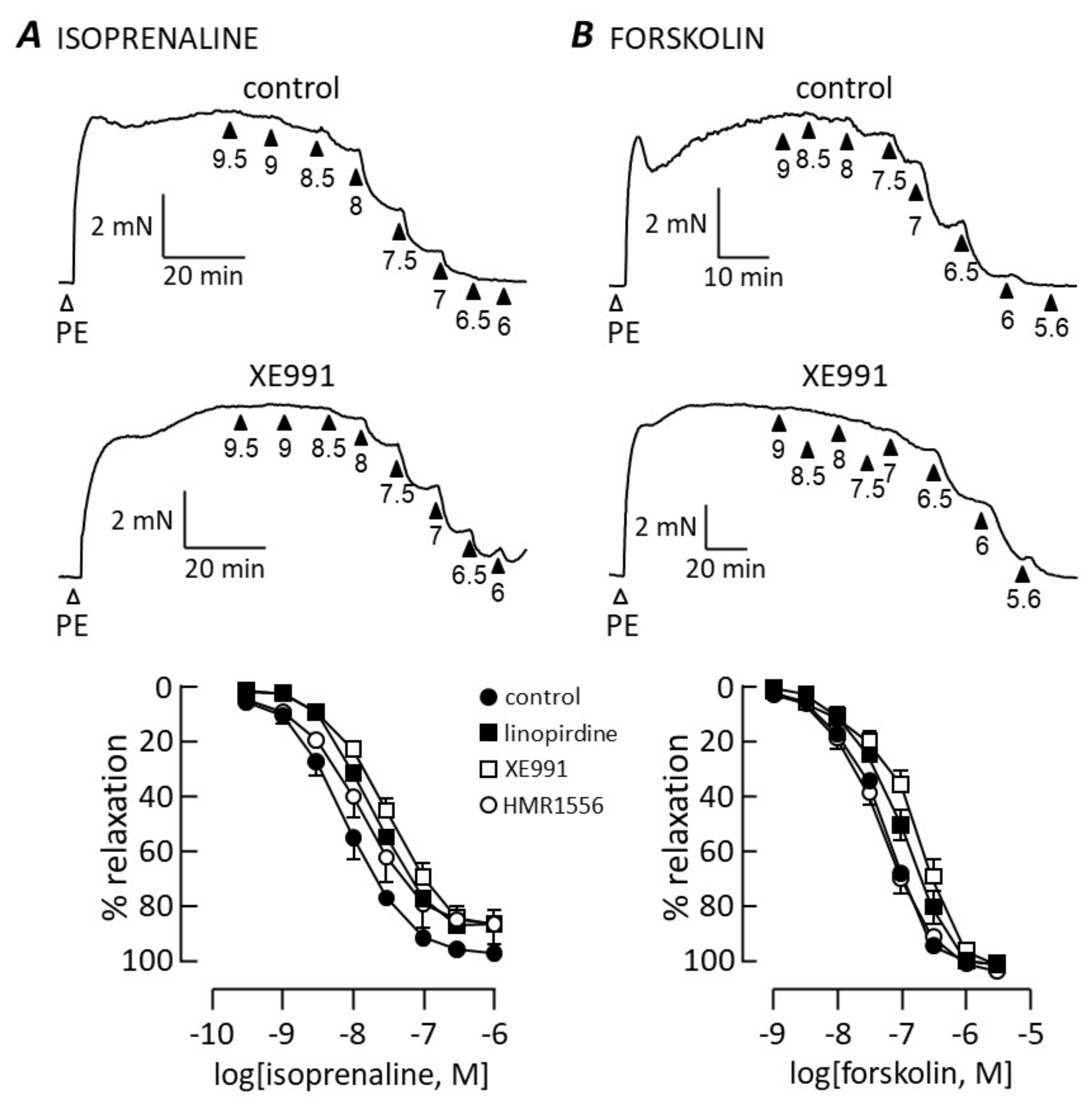 Biomolecules 12 00429 g004