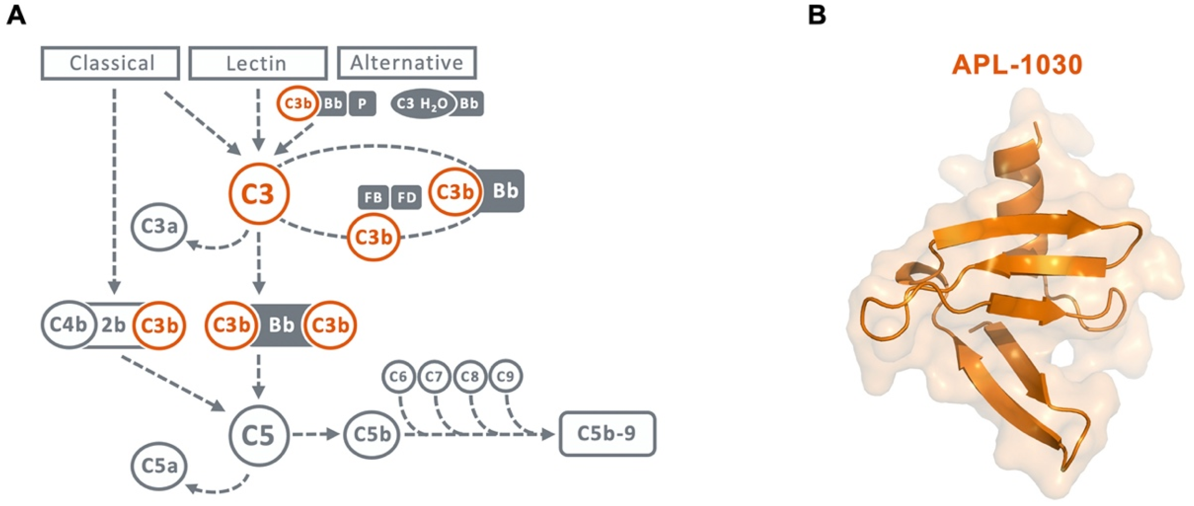 Biomolecules 12 00432 g001