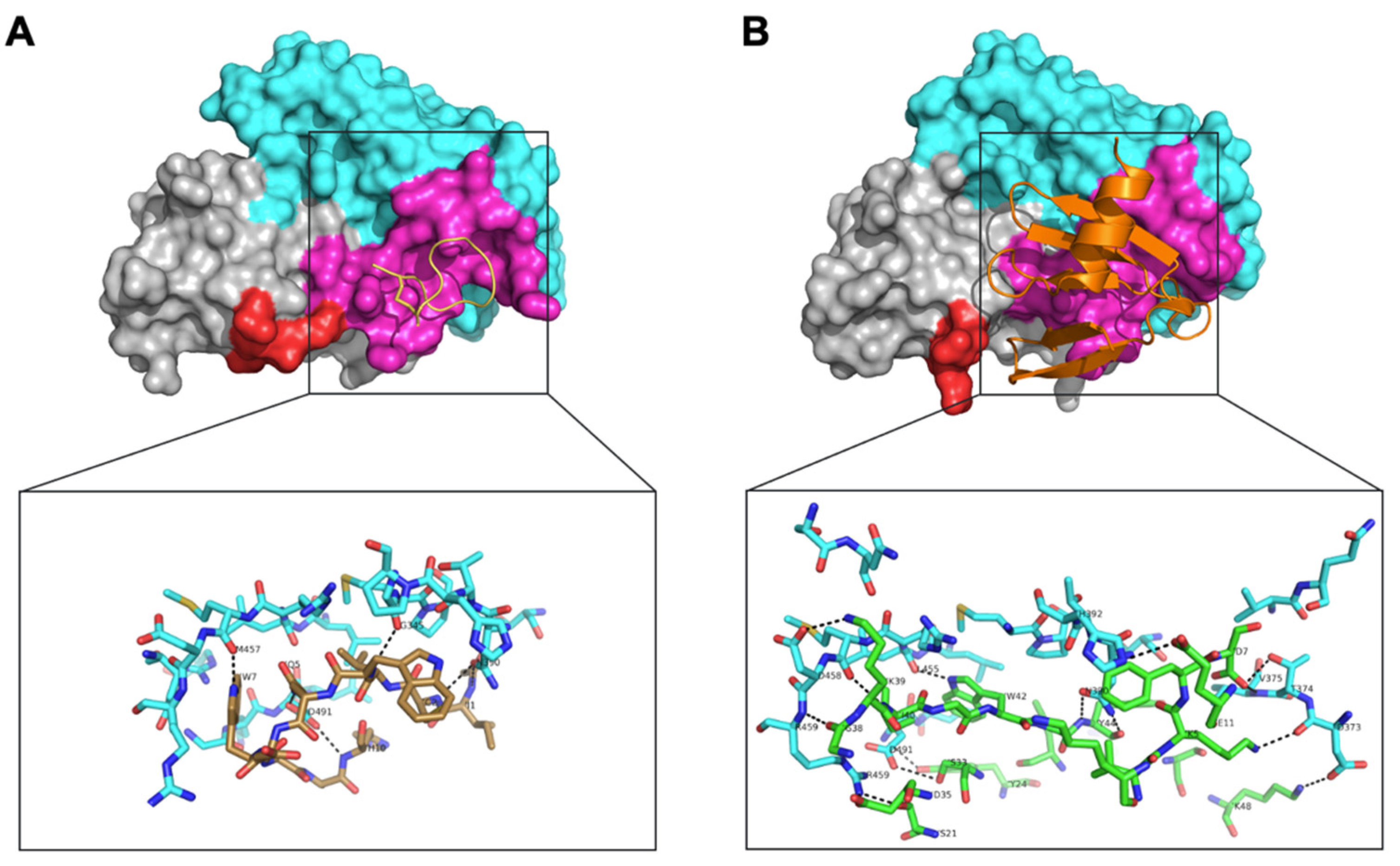 Biomolecules 12 00432 g008