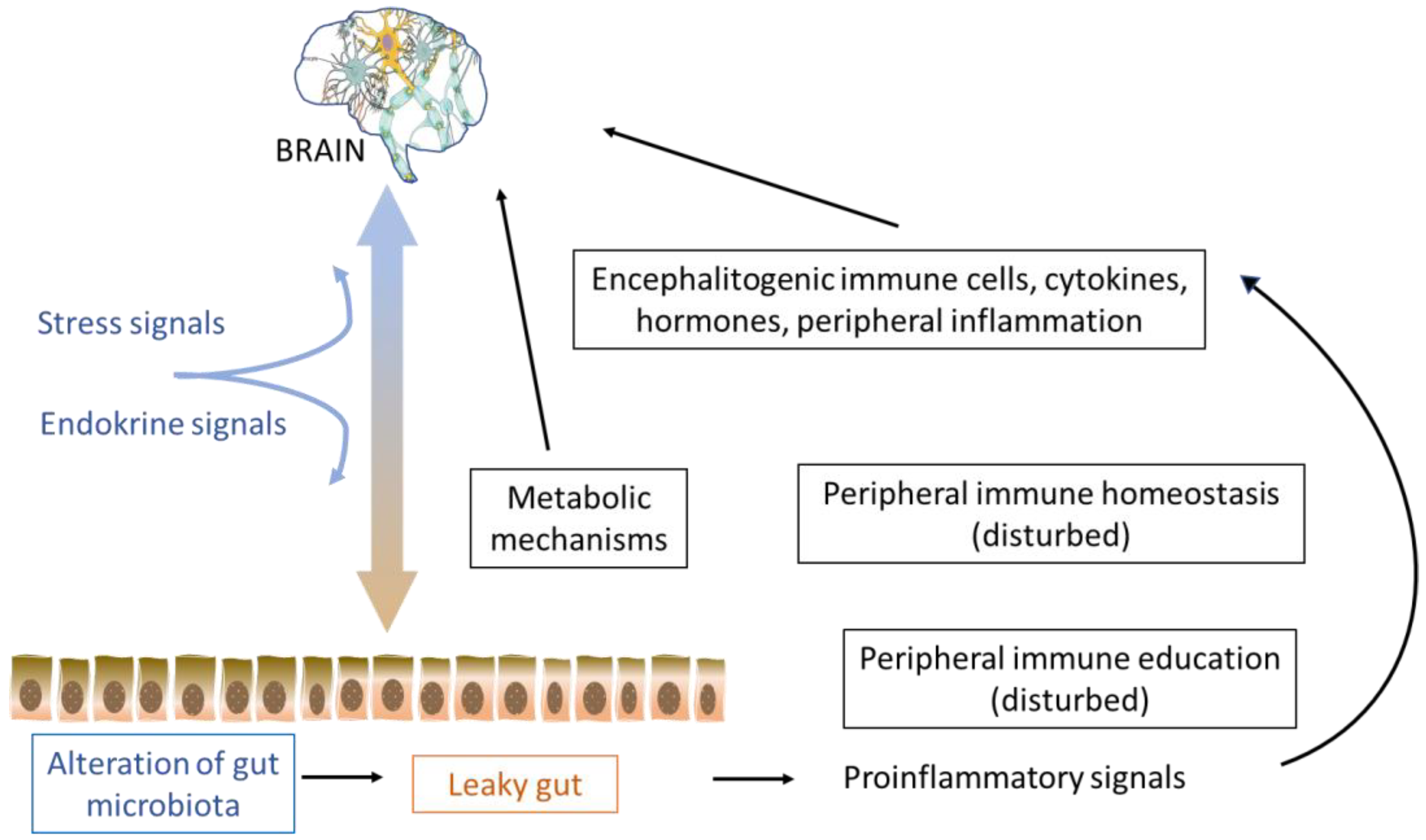 Biomolecules 12 00433 g001