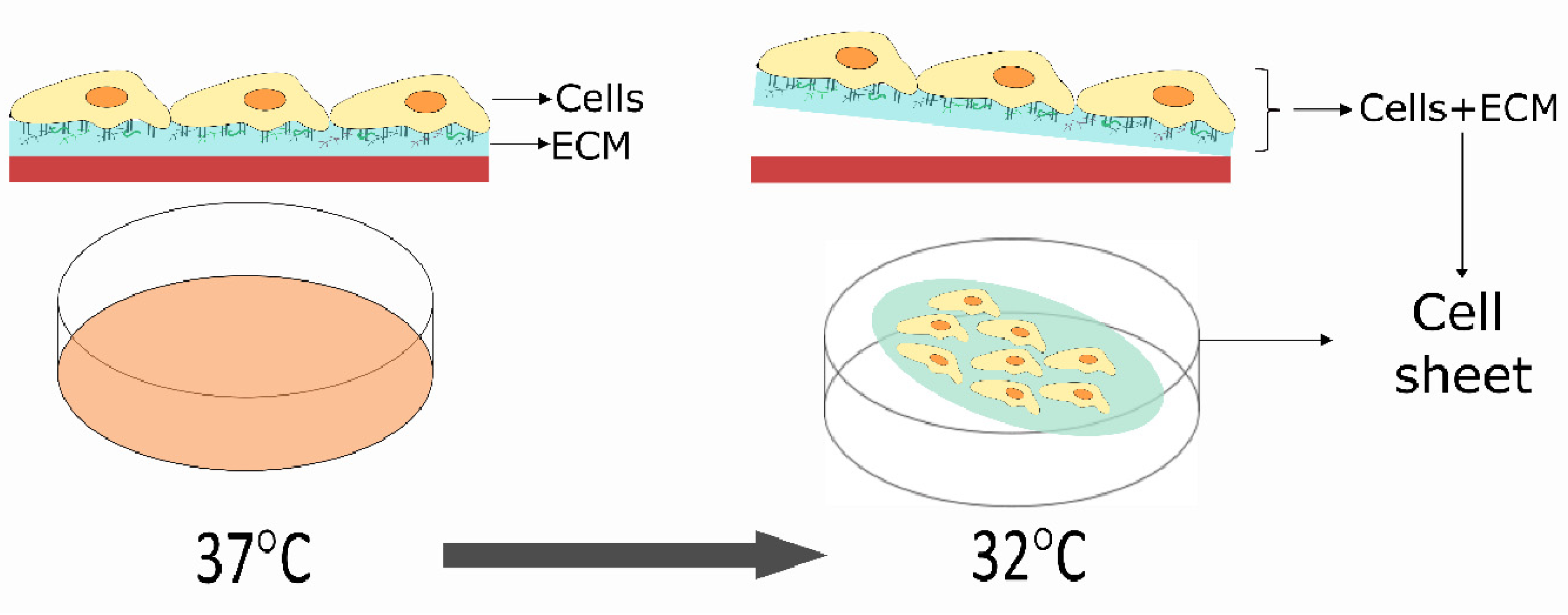 Biomolecules 12 00435 g001