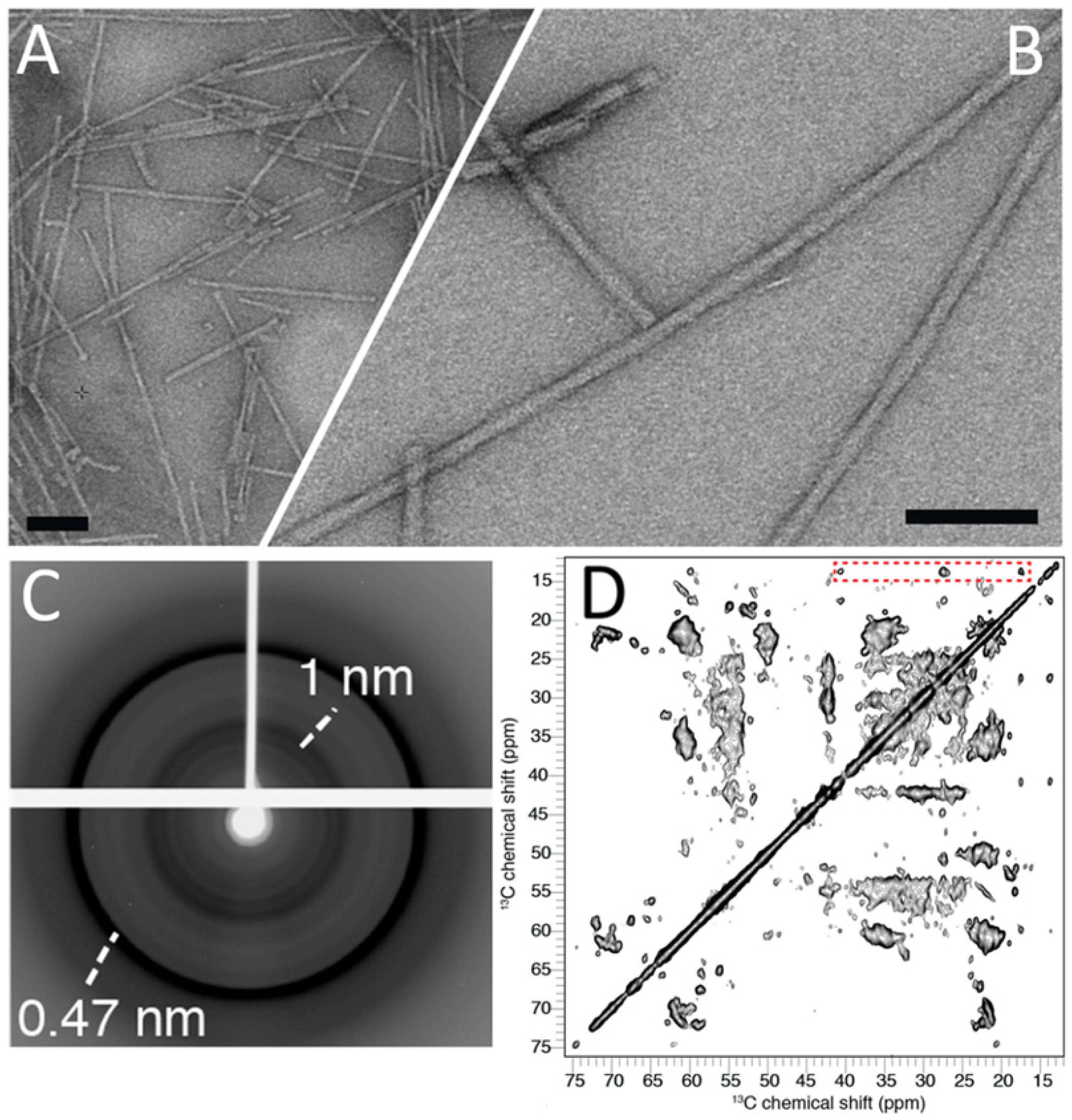 Biomolecules 12 00436 g001 Biomolecules 12 00436 g001