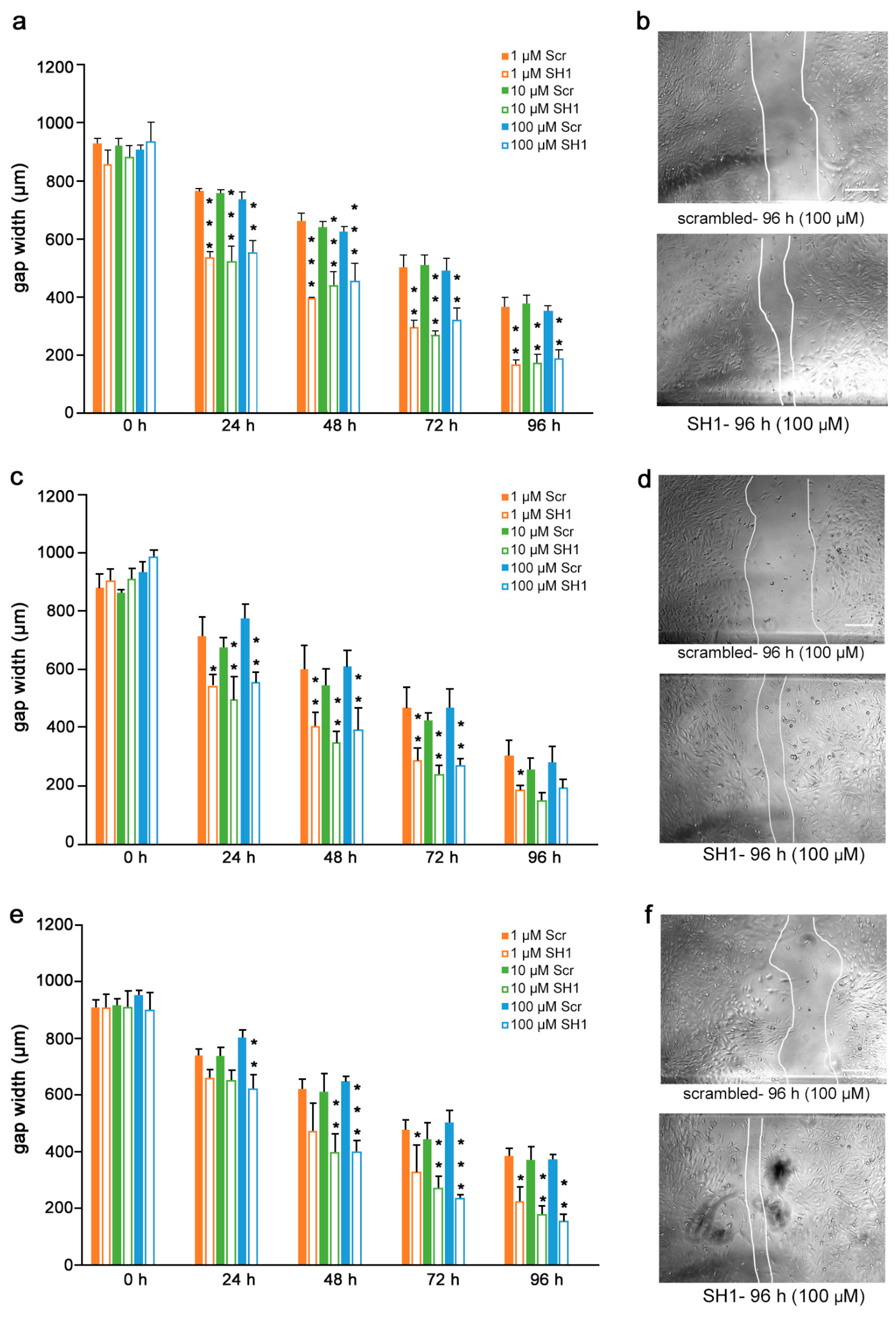 Biomolecules 12 00439 g007