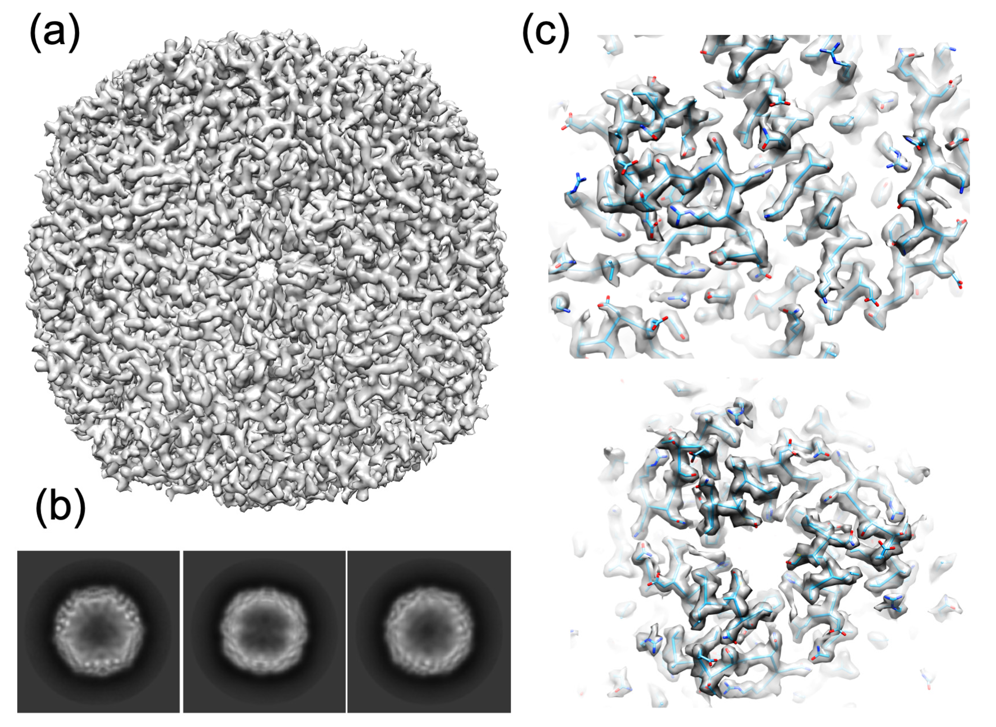 Biomolecules 12 00441 g003