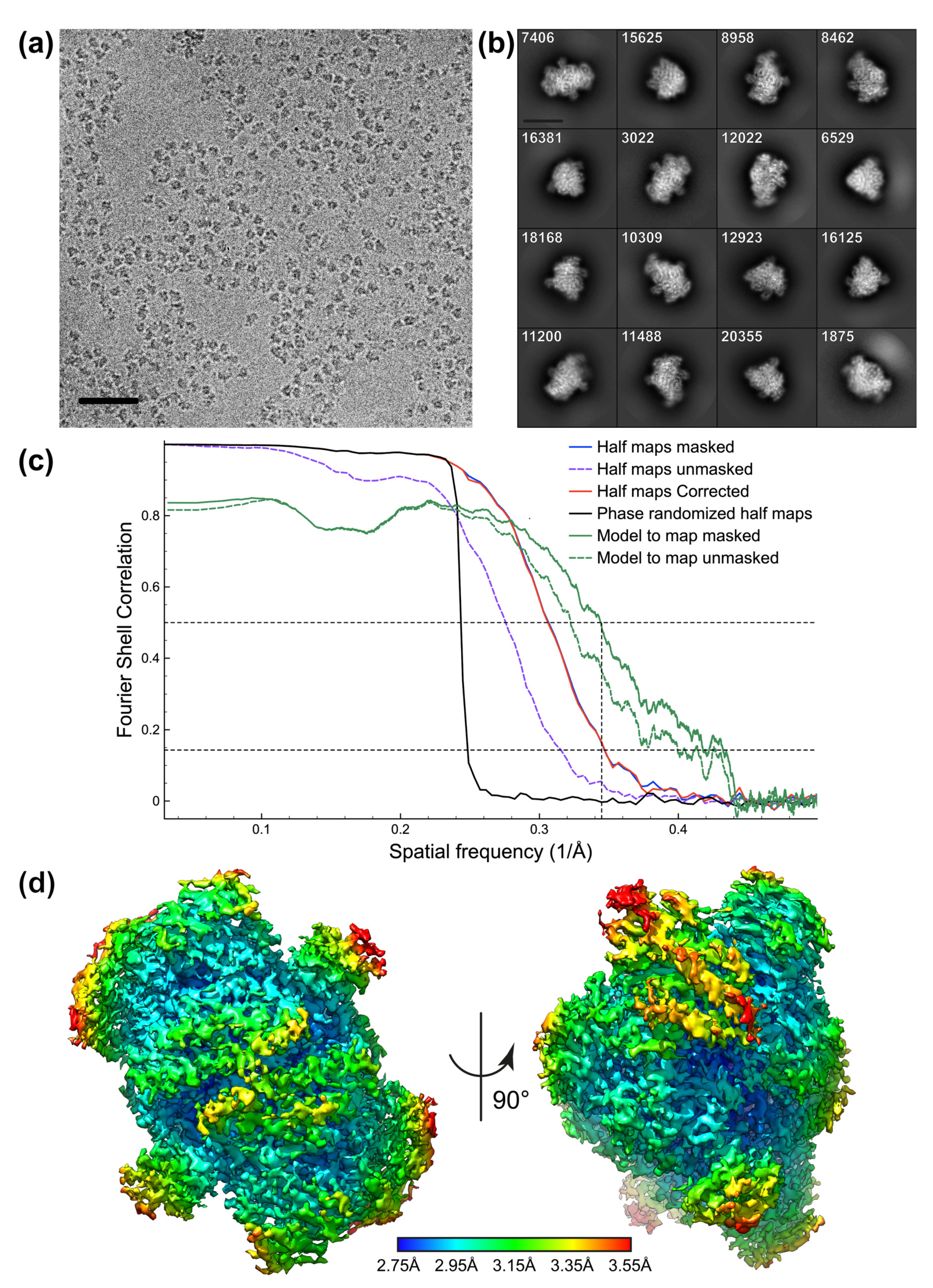 Biomolecules 12 00441 g004
