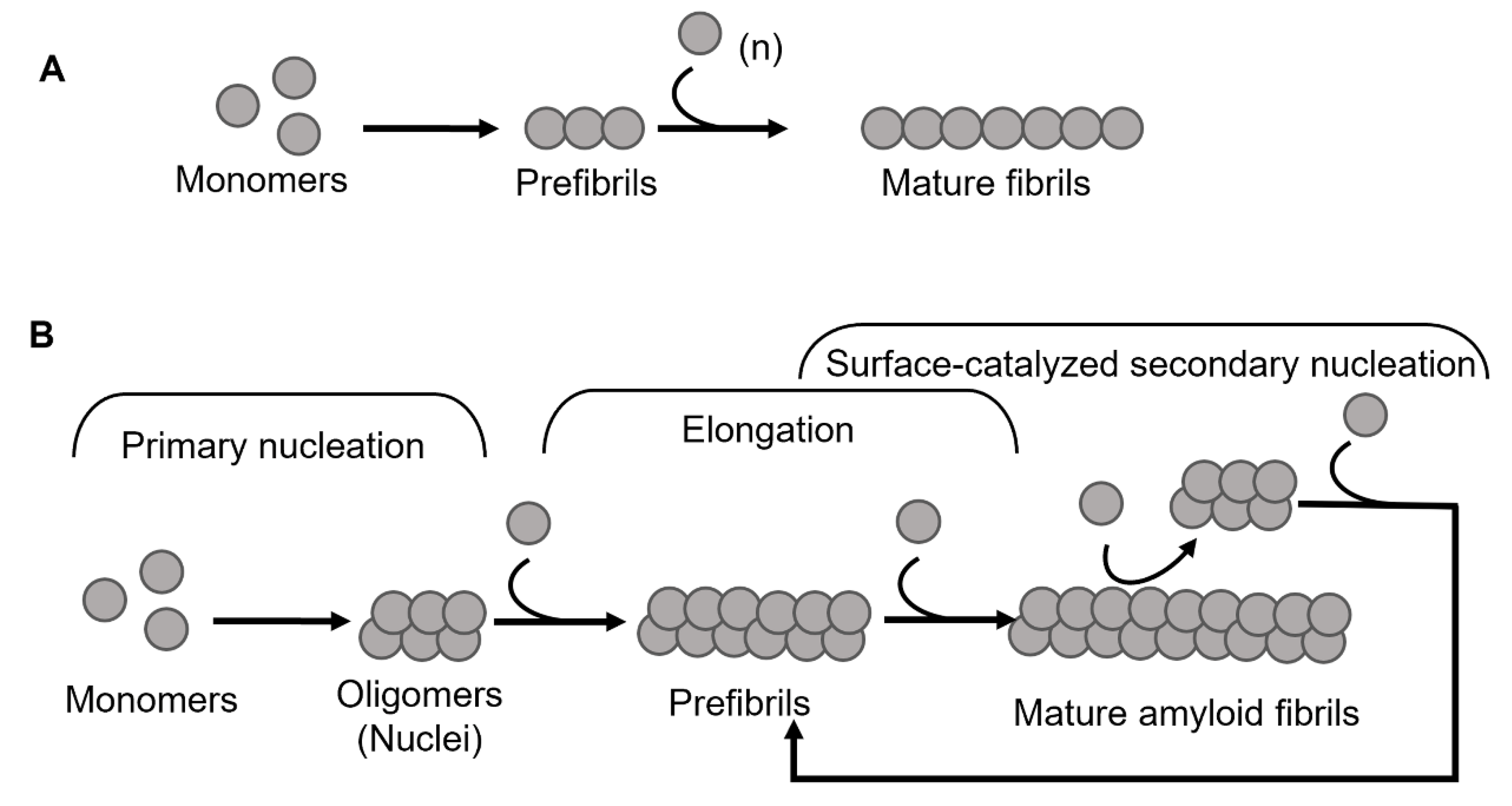 Biomolecules 12 00446 g001
