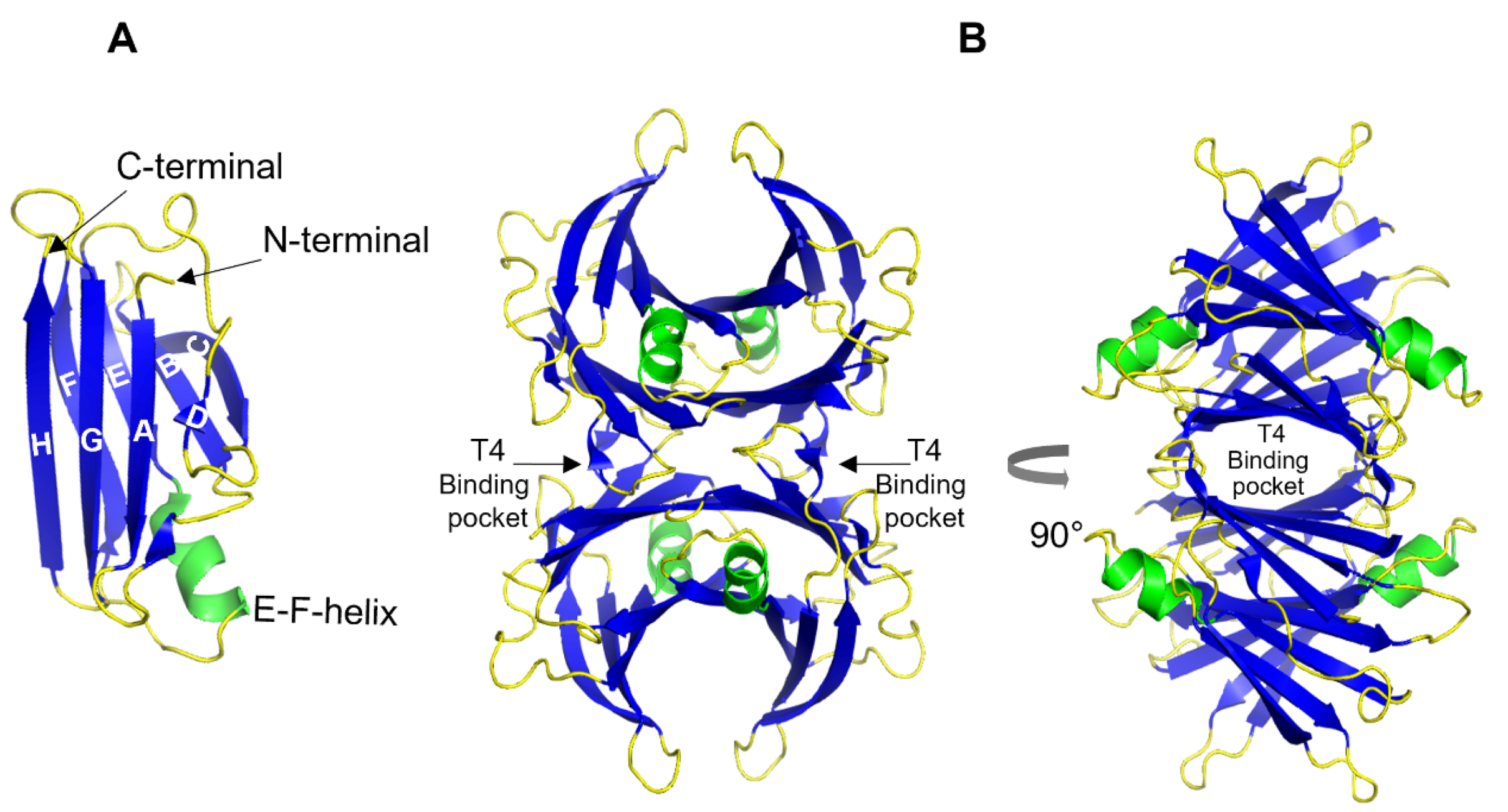 Biomolecules 12 00446 g002